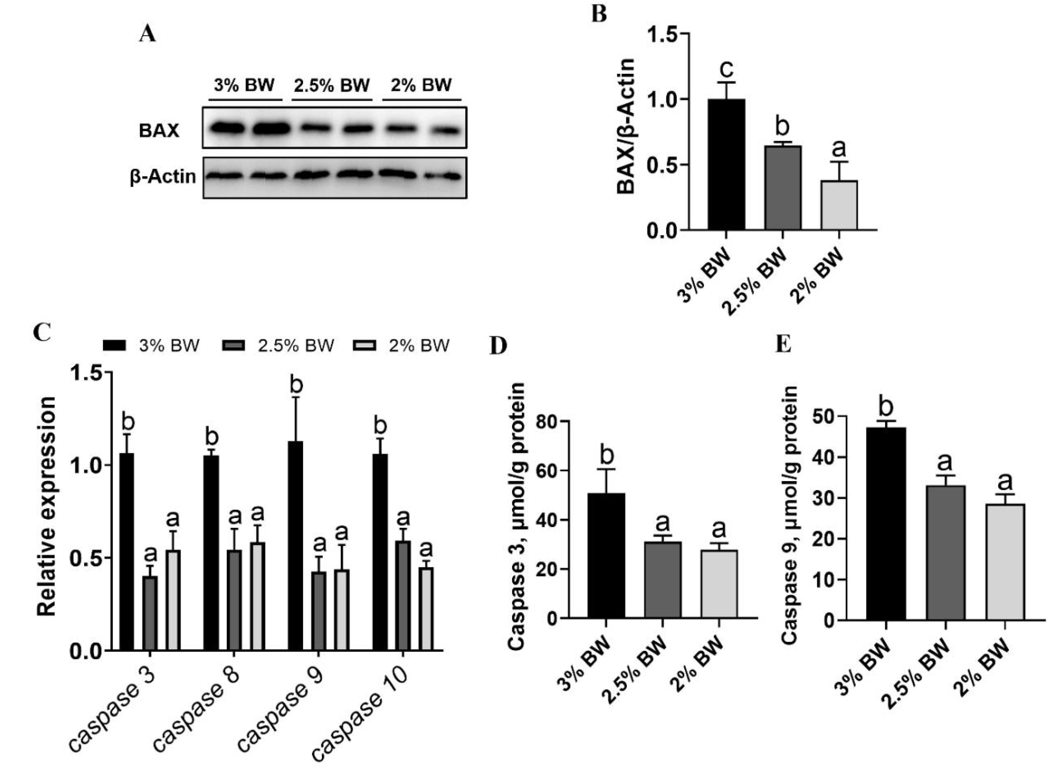 Antioxidants 11 00980 g006