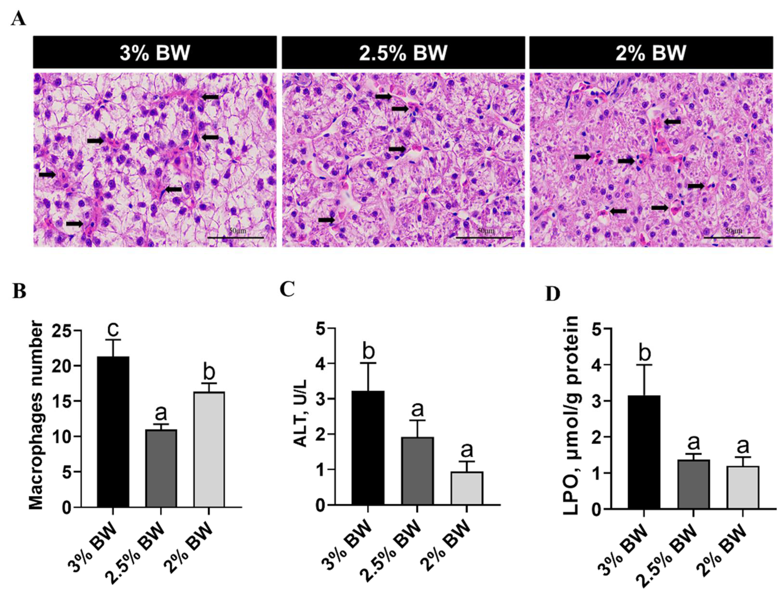 Antioxidants 11 00980 g007