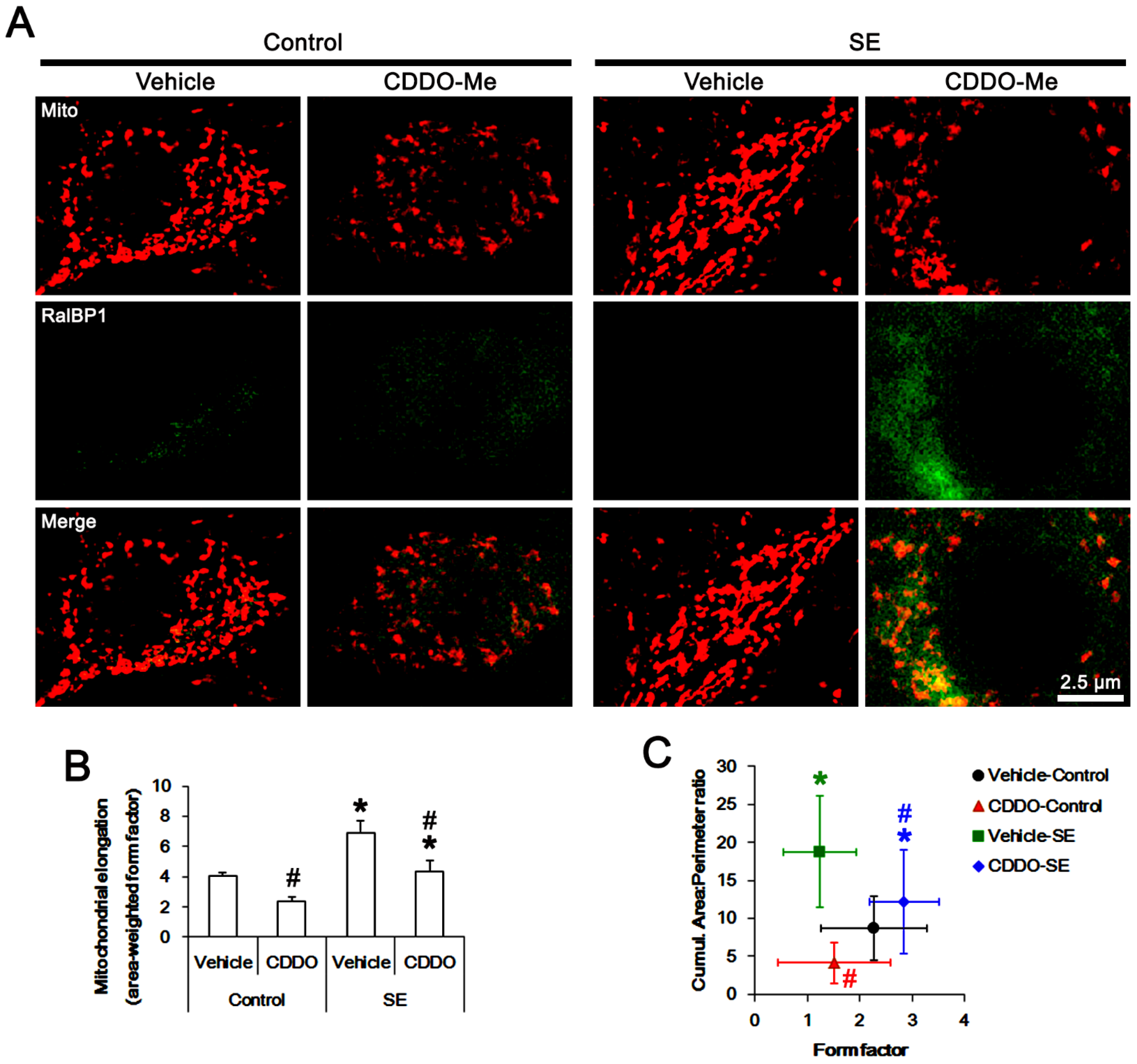 Antioxidants 11 00985 g003