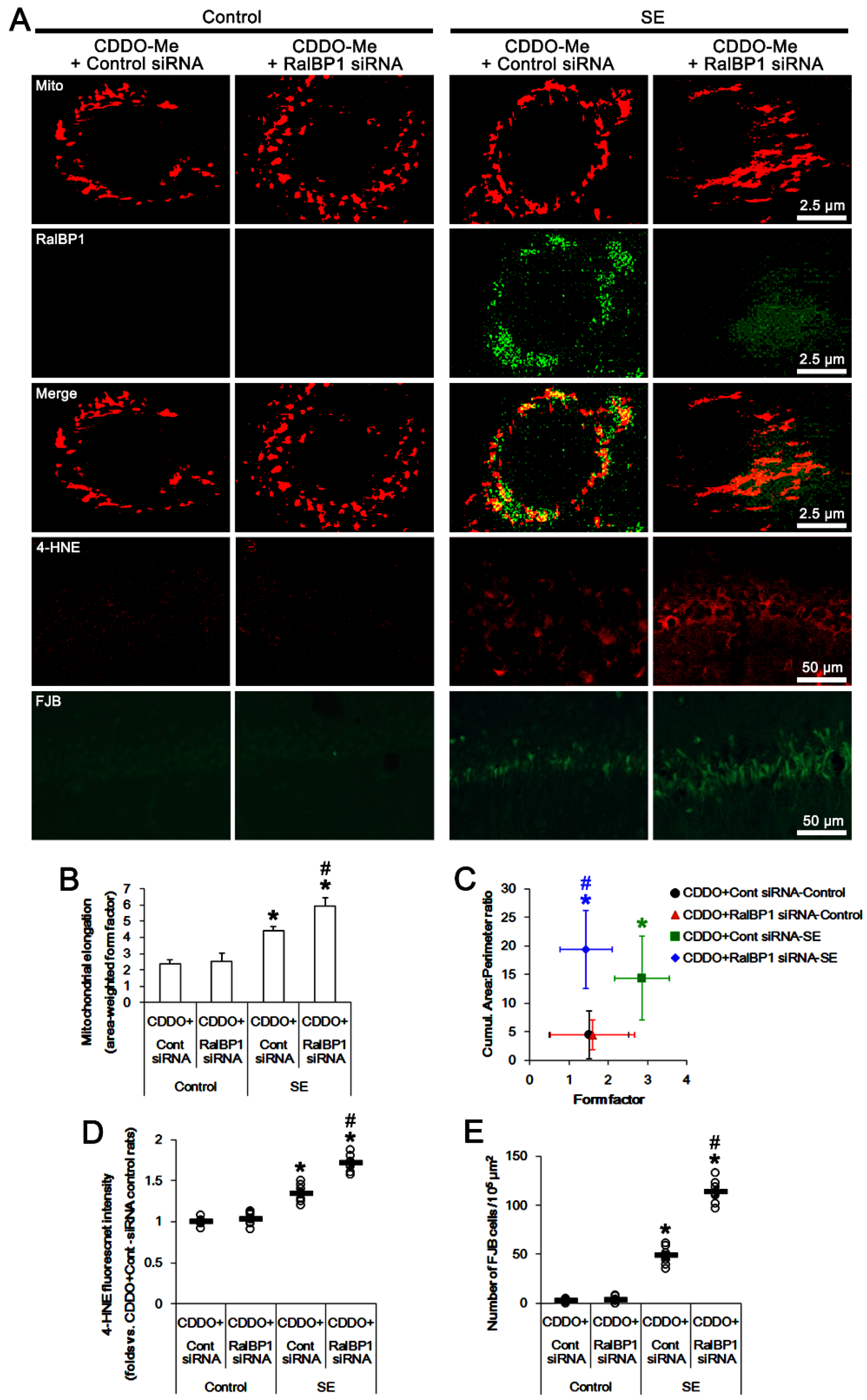 Antioxidants 11 00985 g007