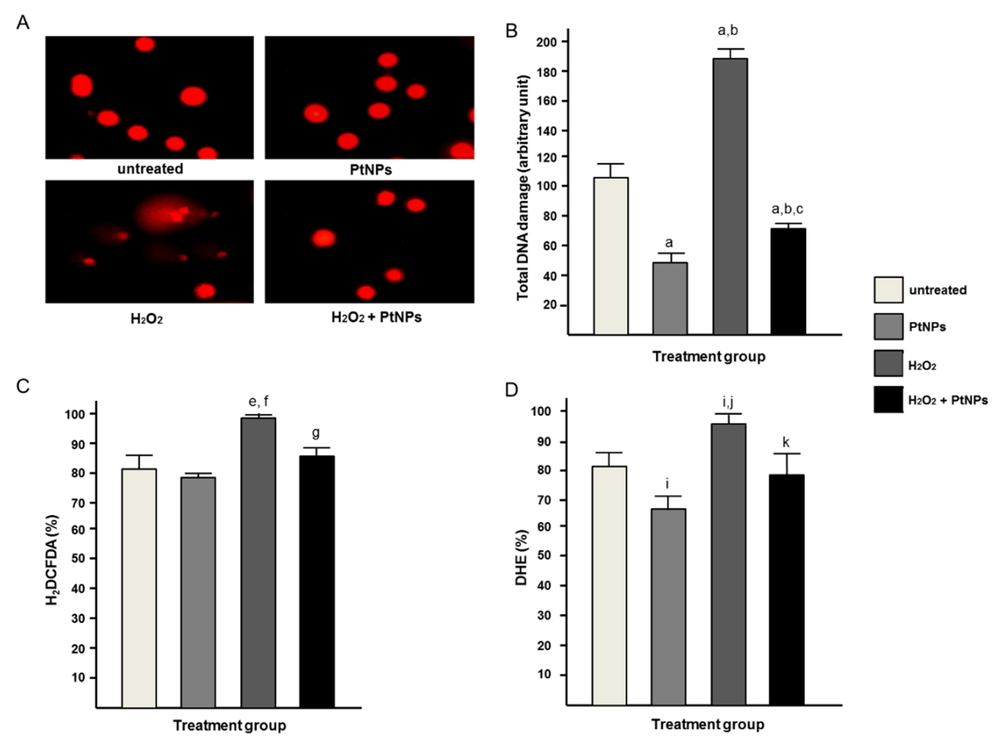Antioxidants 11 00986 g005
