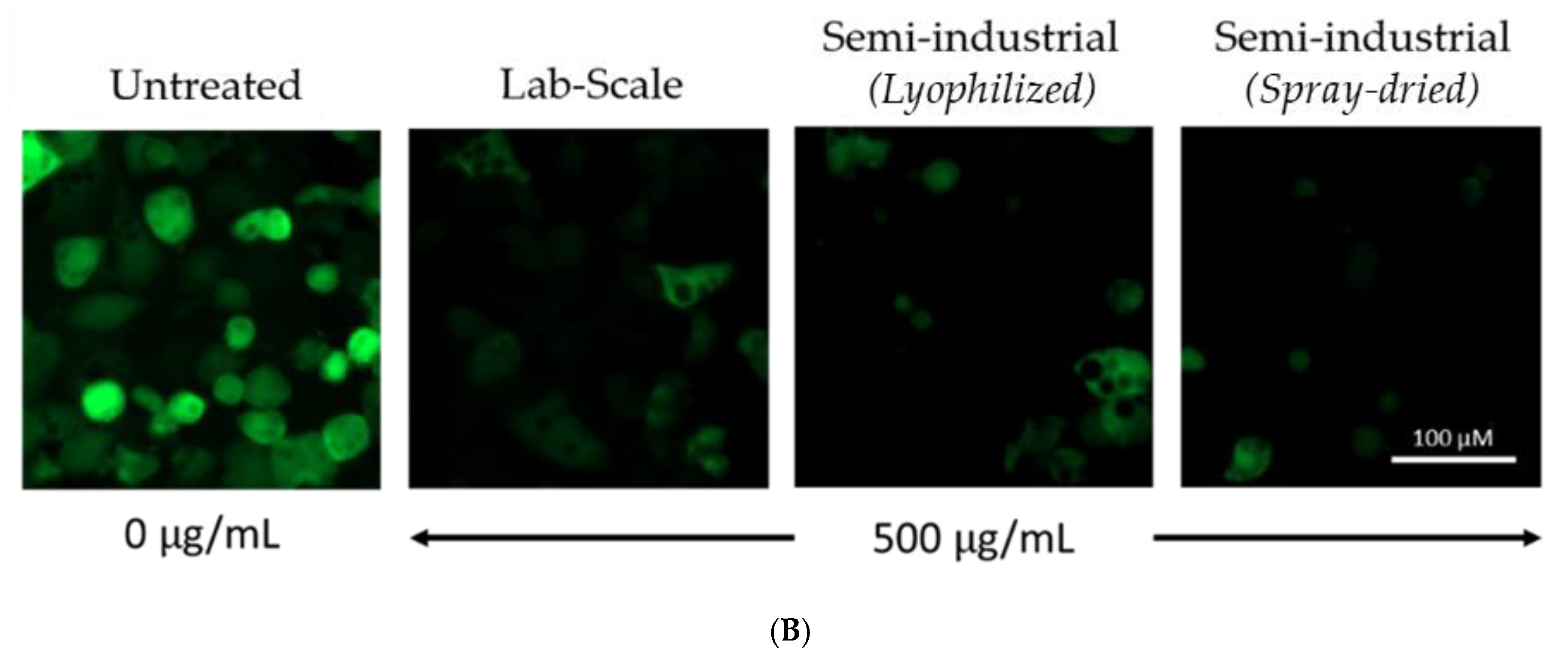 Antioxidants 11 00988 g007b