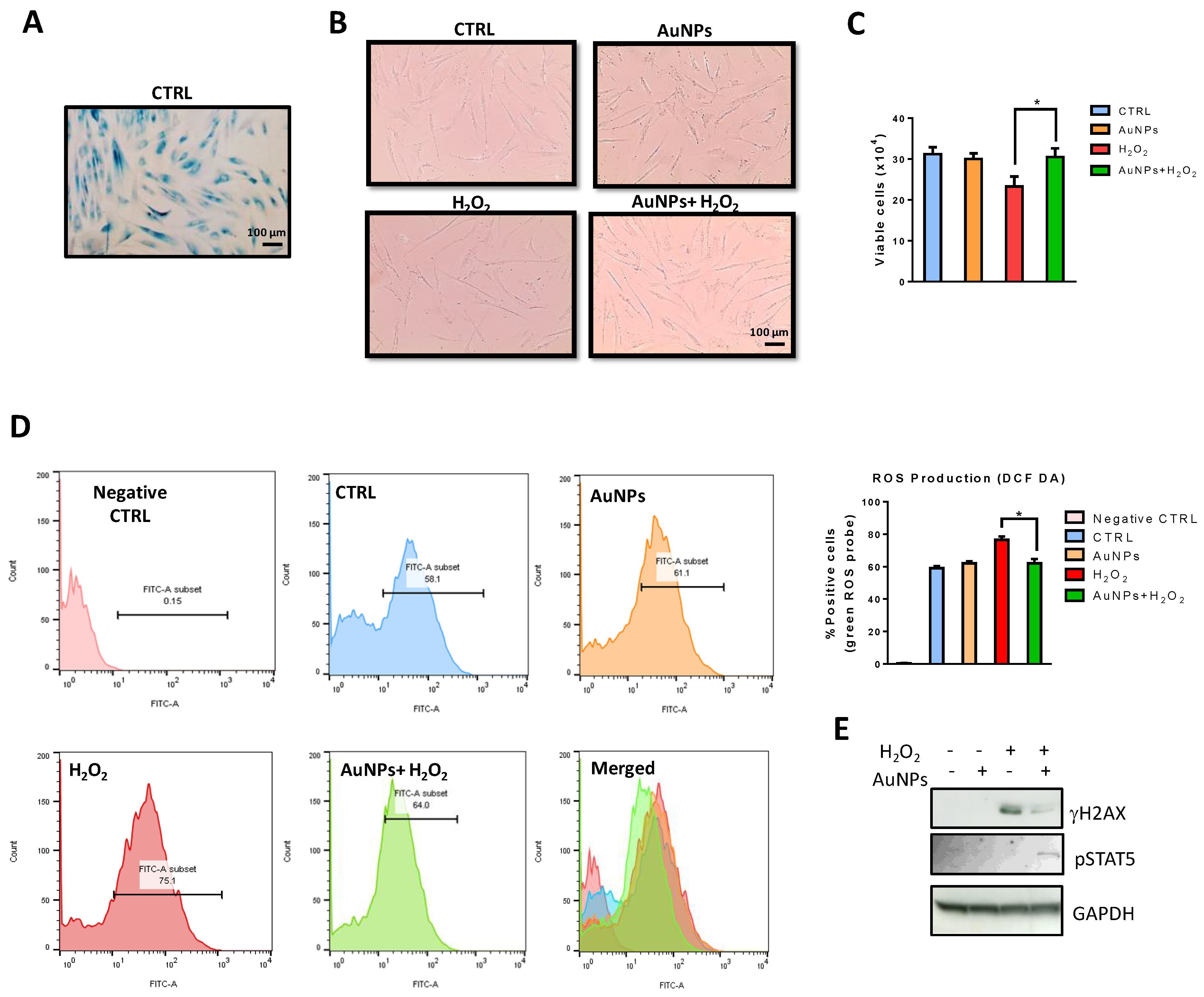 Antioxidants 11 00994 g008