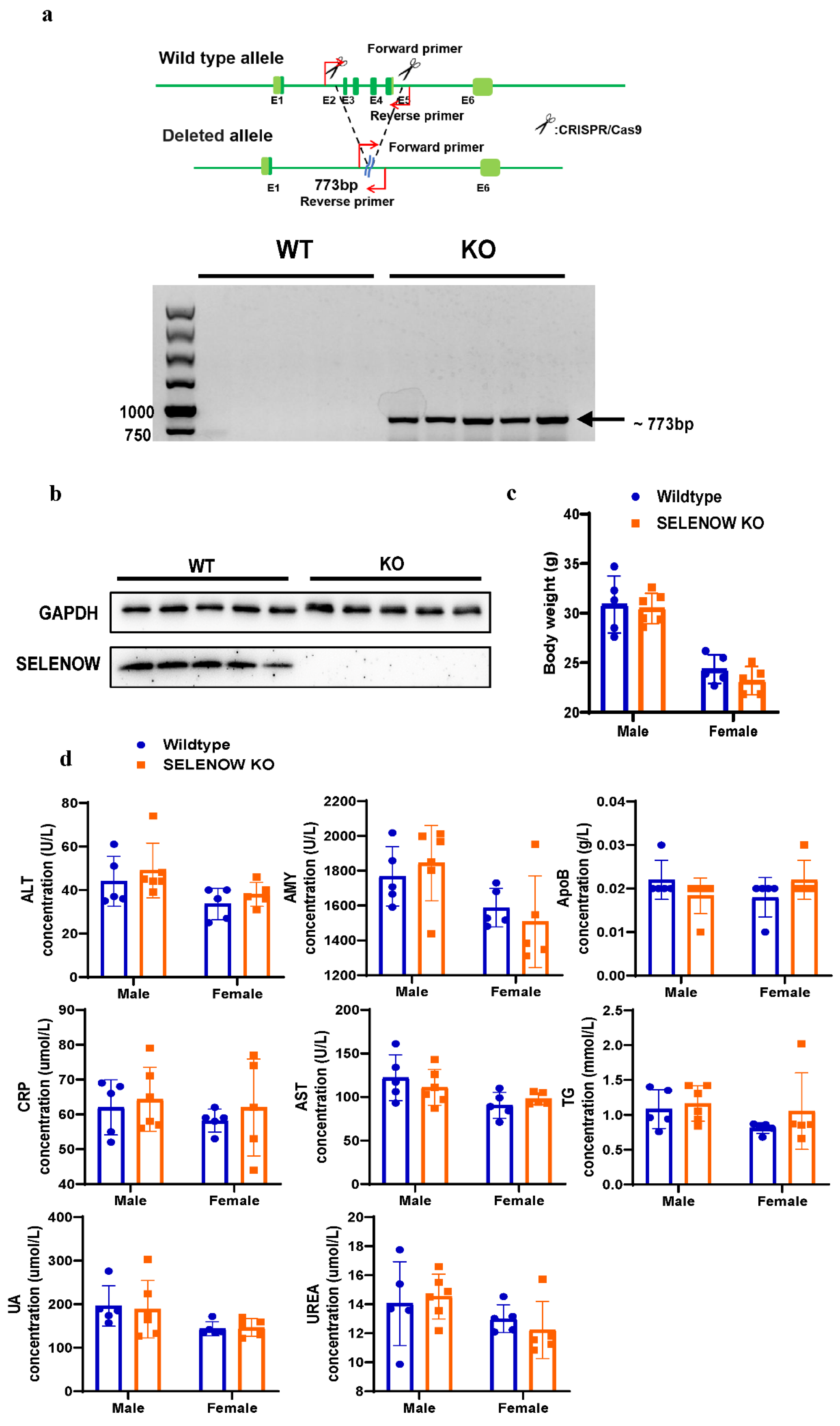 Antioxidants 11 00999 g001