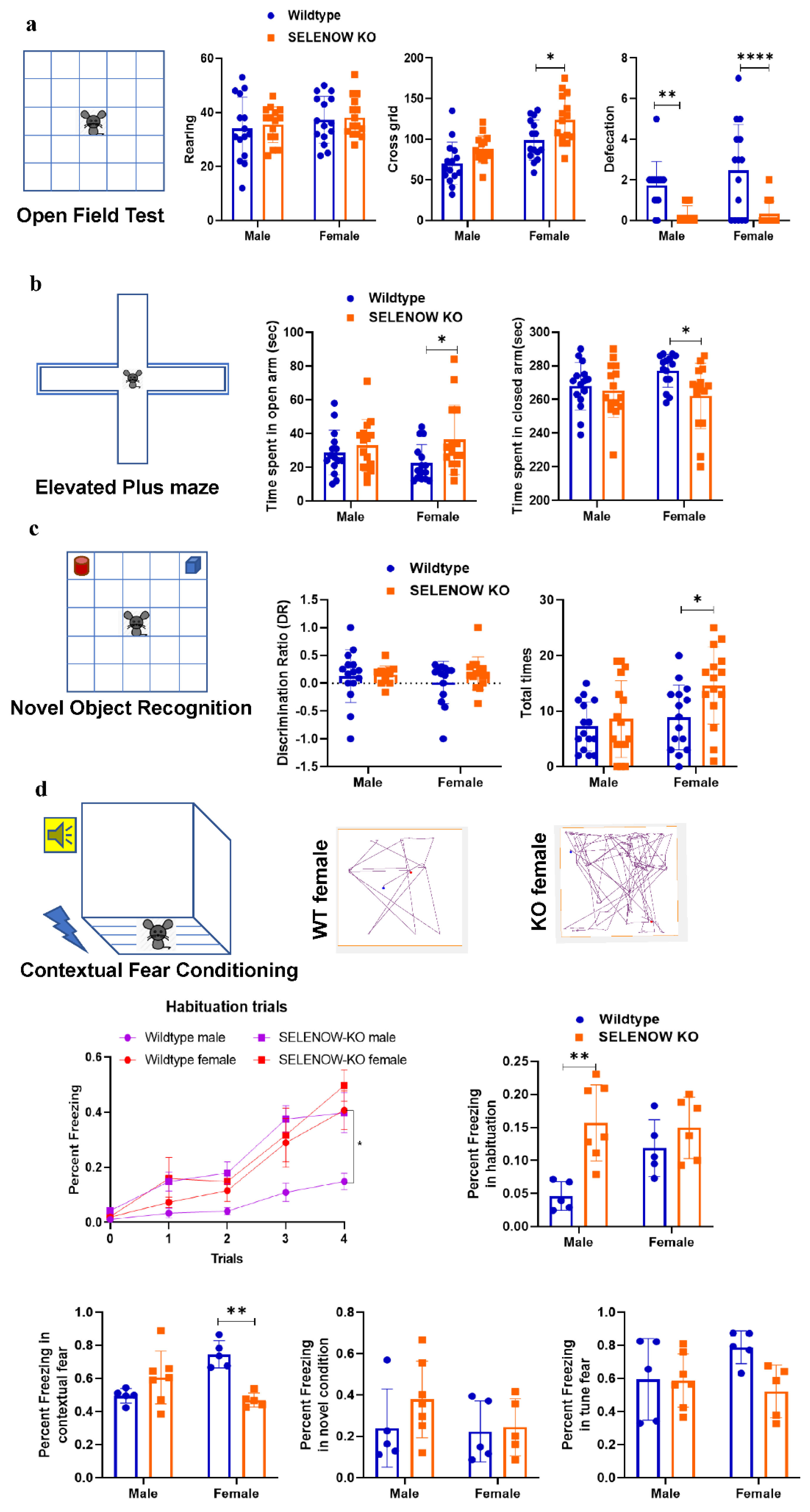 Antioxidants 11 00999 g002