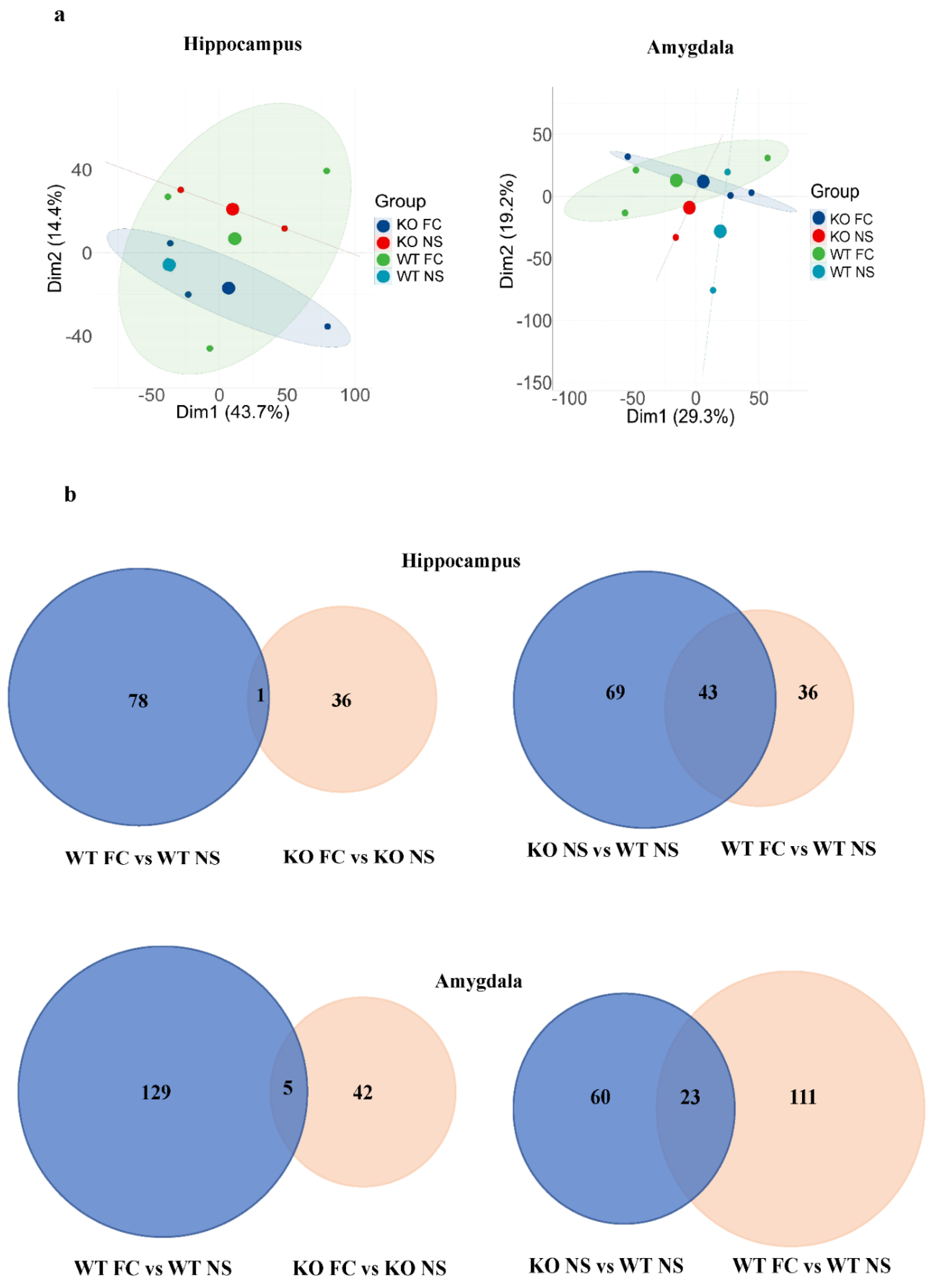 Antioxidants 11 00999 g005