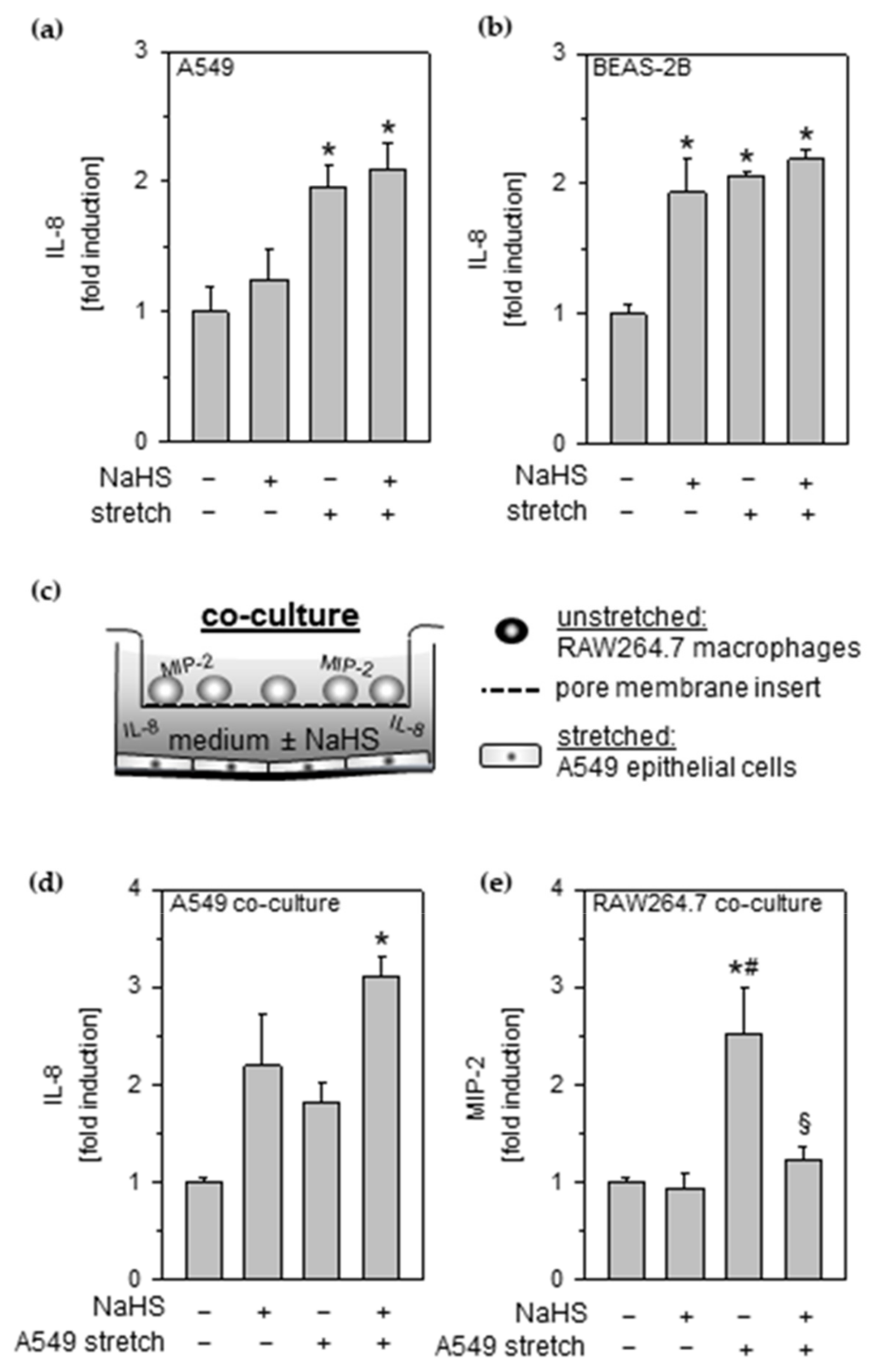 Antioxidants 11 01001 g001