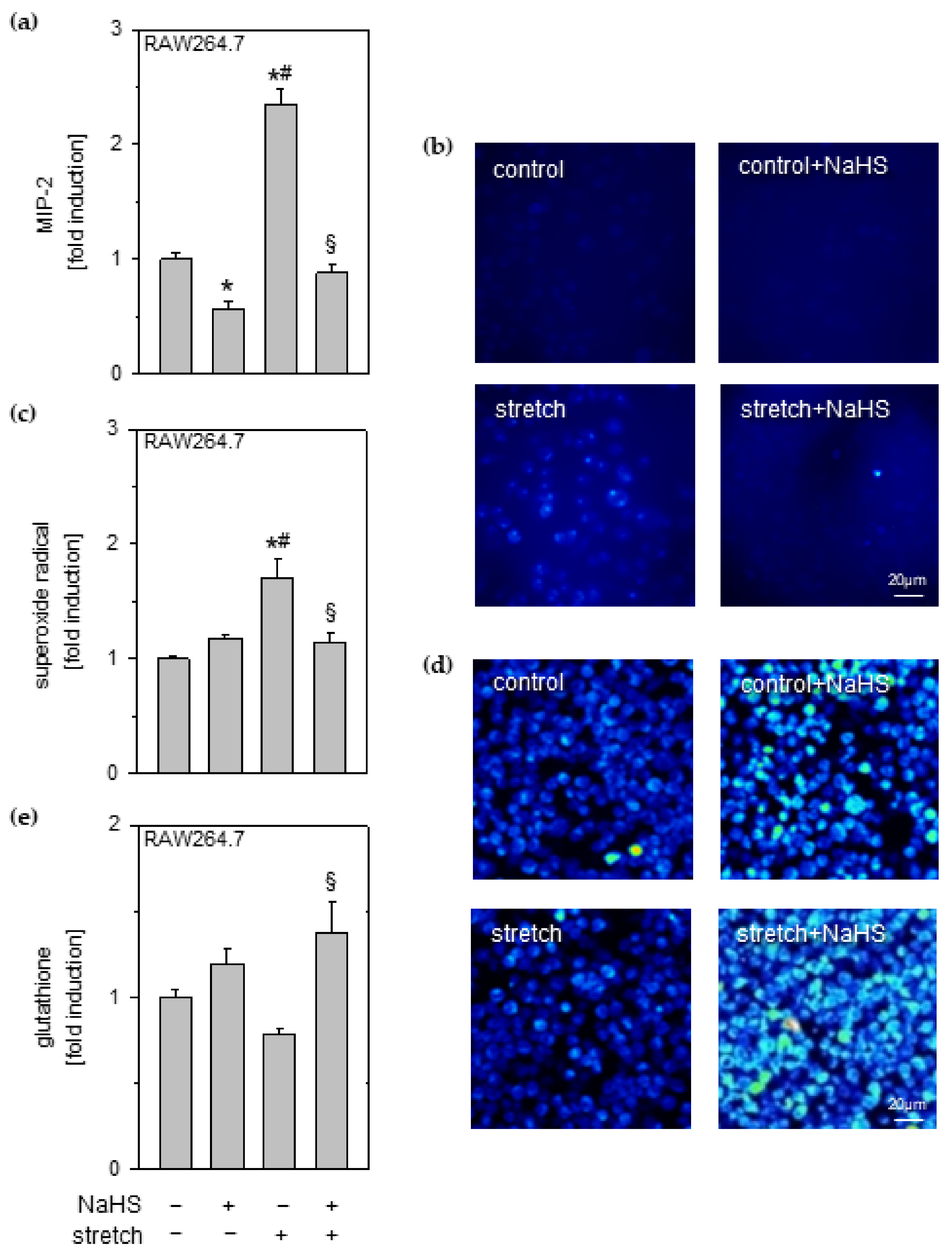 Antioxidants 11 01001 g002