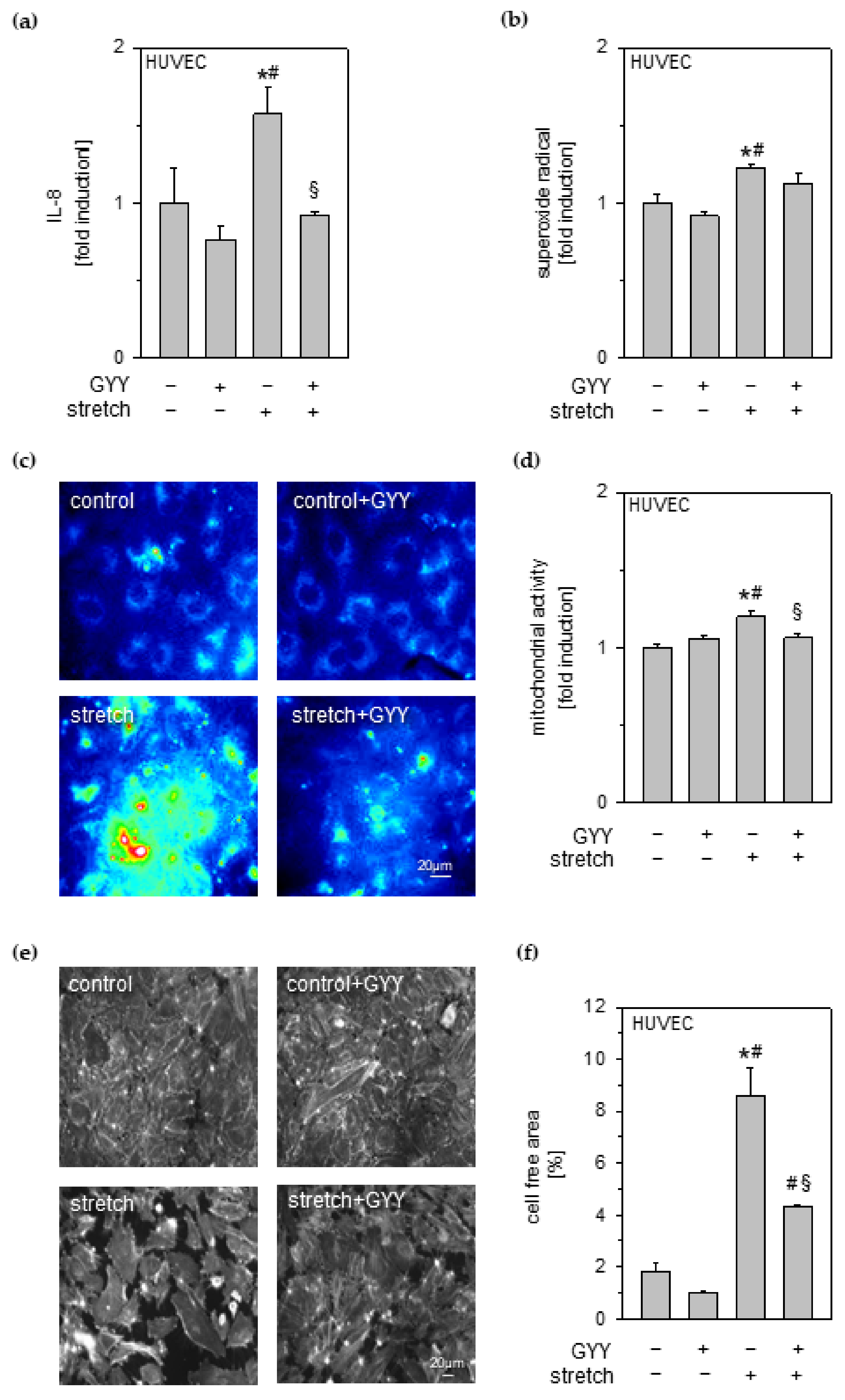 Antioxidants 11 01001 g004