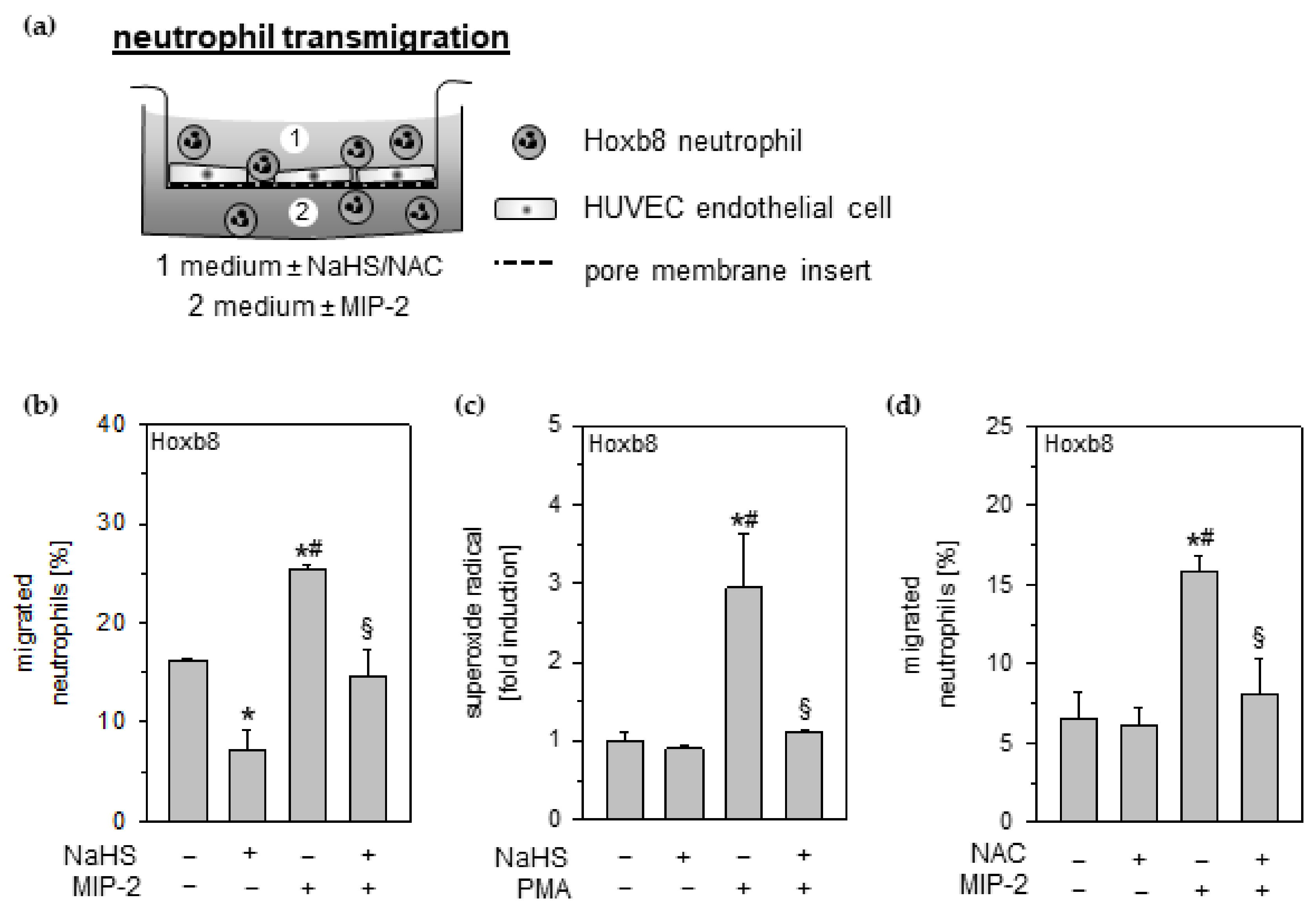 Antioxidants 11 01001 g005