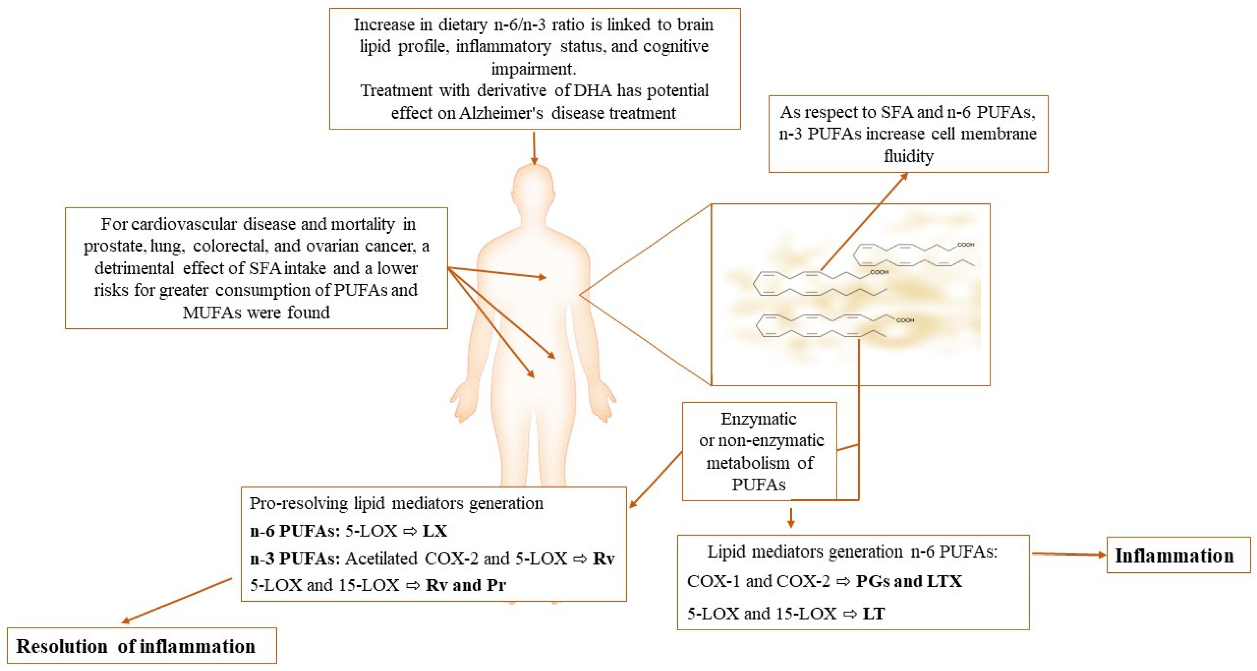 Antioxidants 11 01002 g001