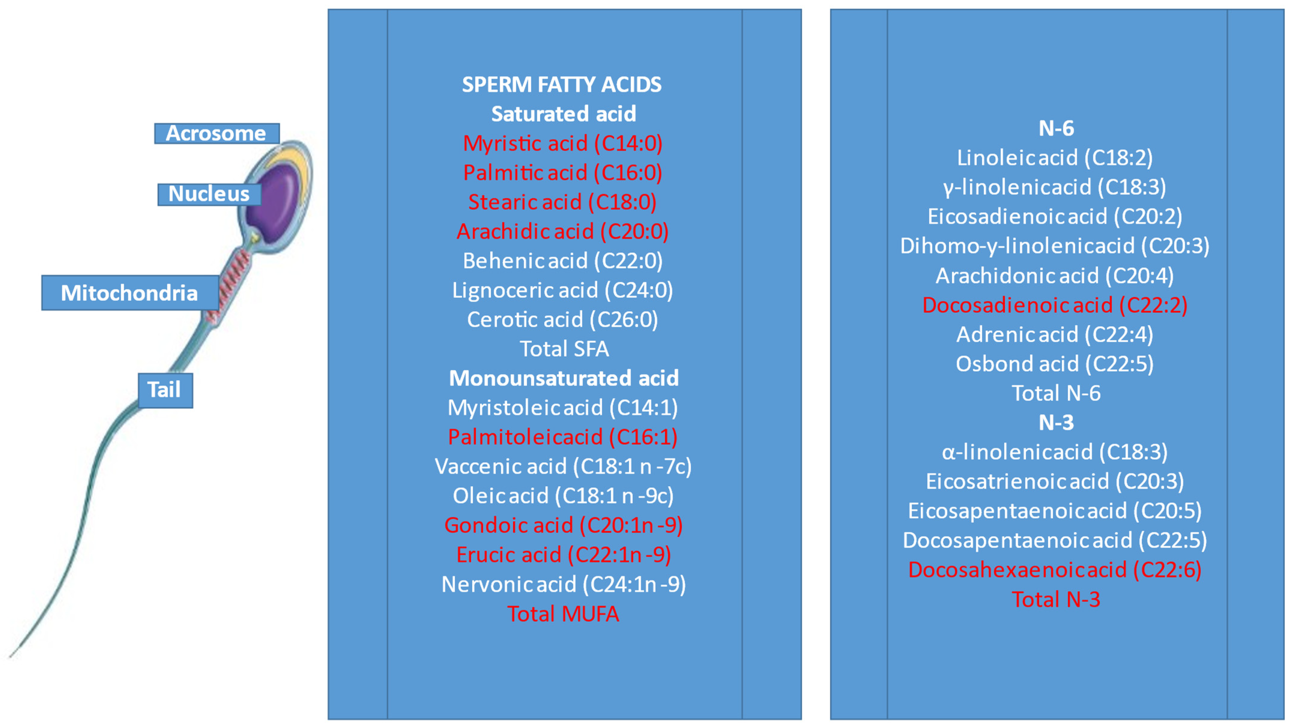 Antioxidants 11 01002 g002