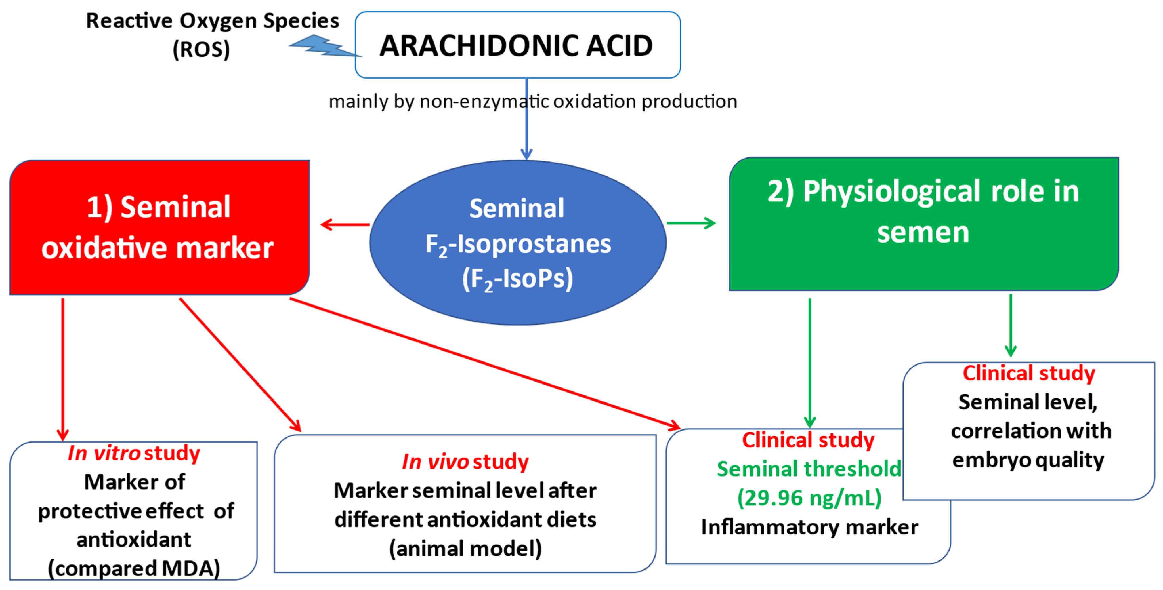 Antioxidants 11 01002 g003