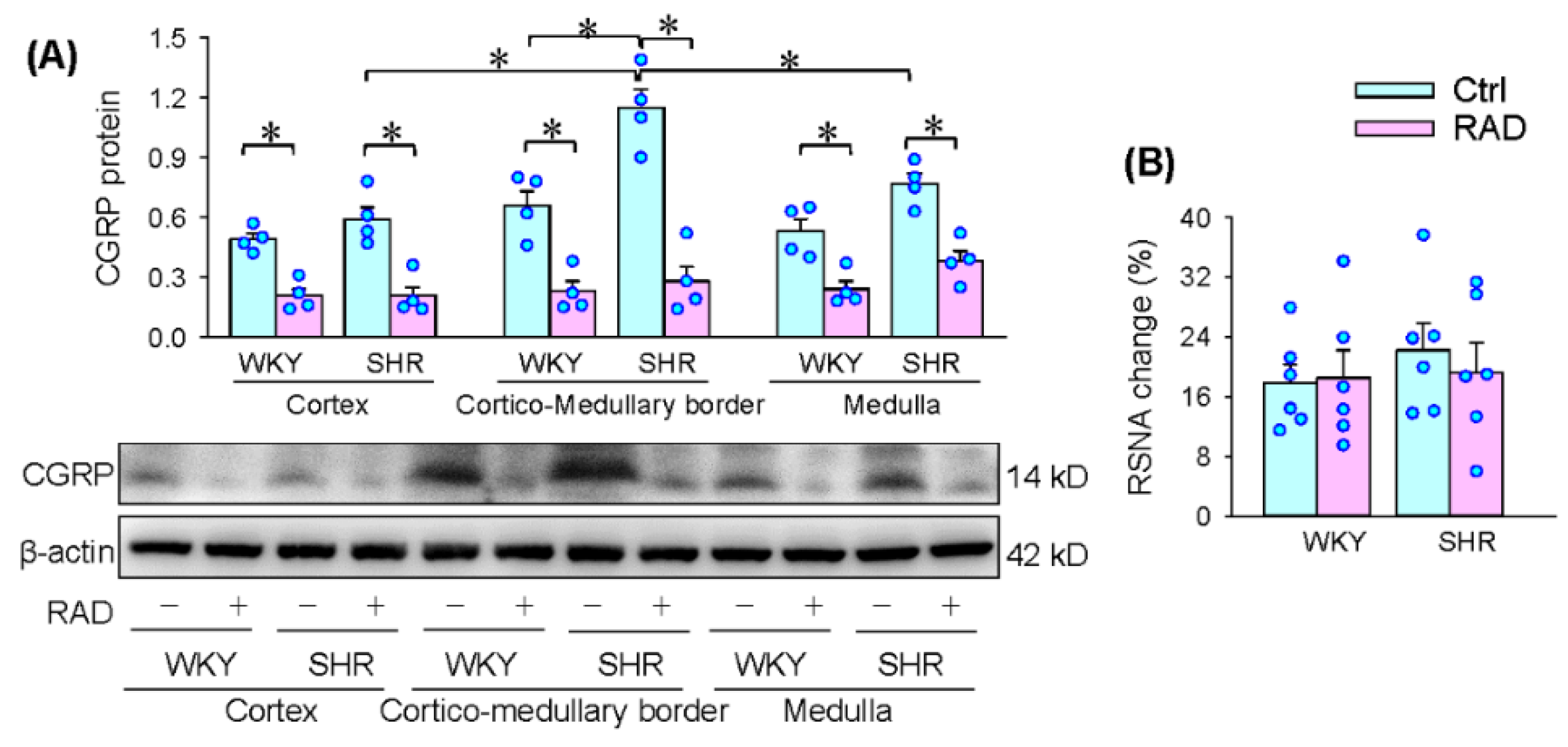 Antioxidants 11 01003 g001a