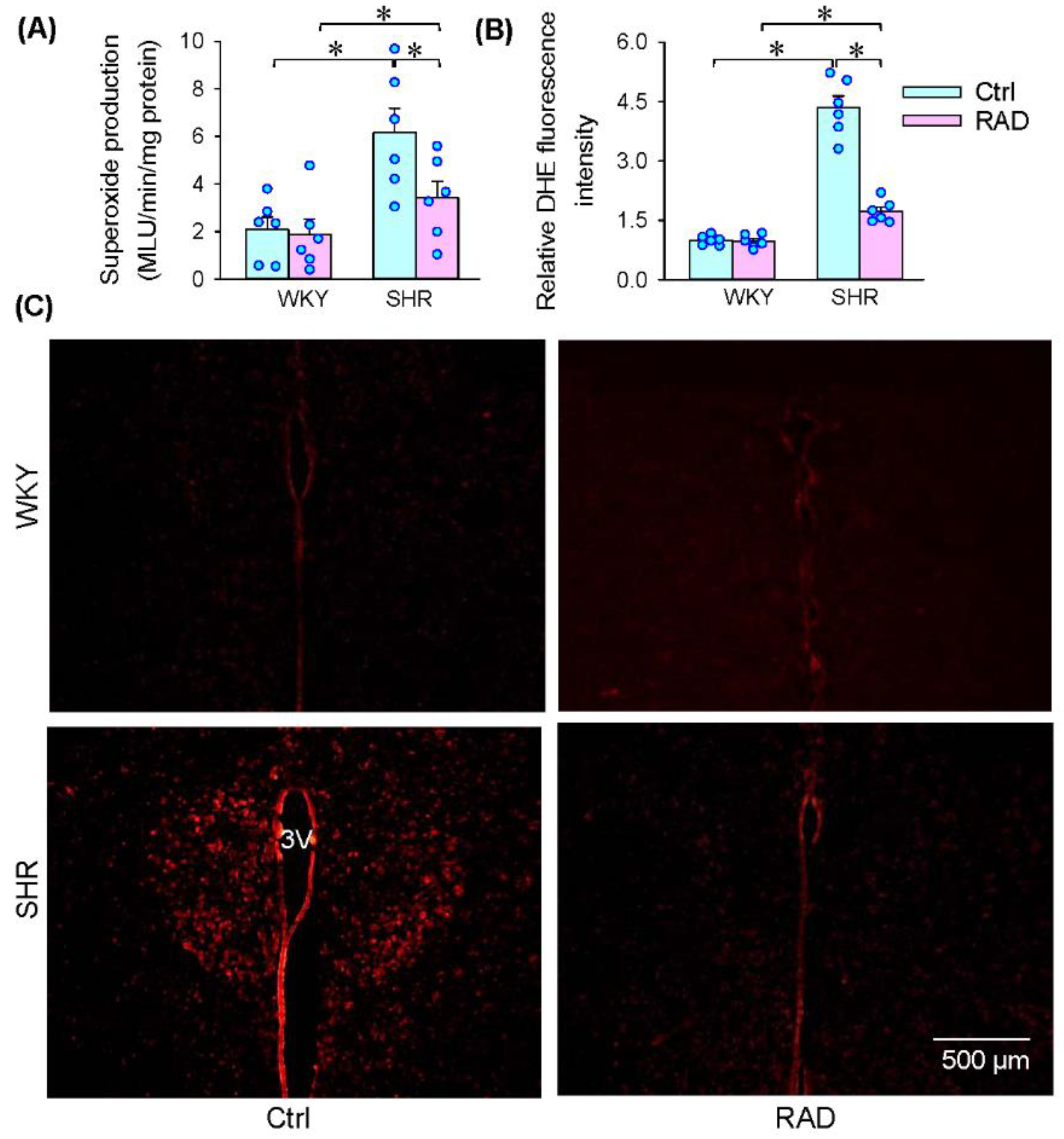Antioxidants 11 01003 g004
