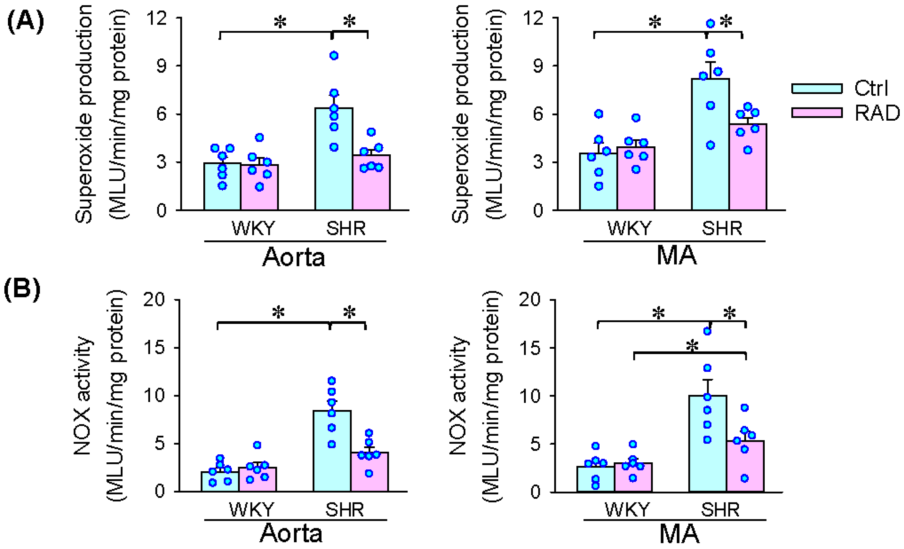 Antioxidants 11 01003 g006