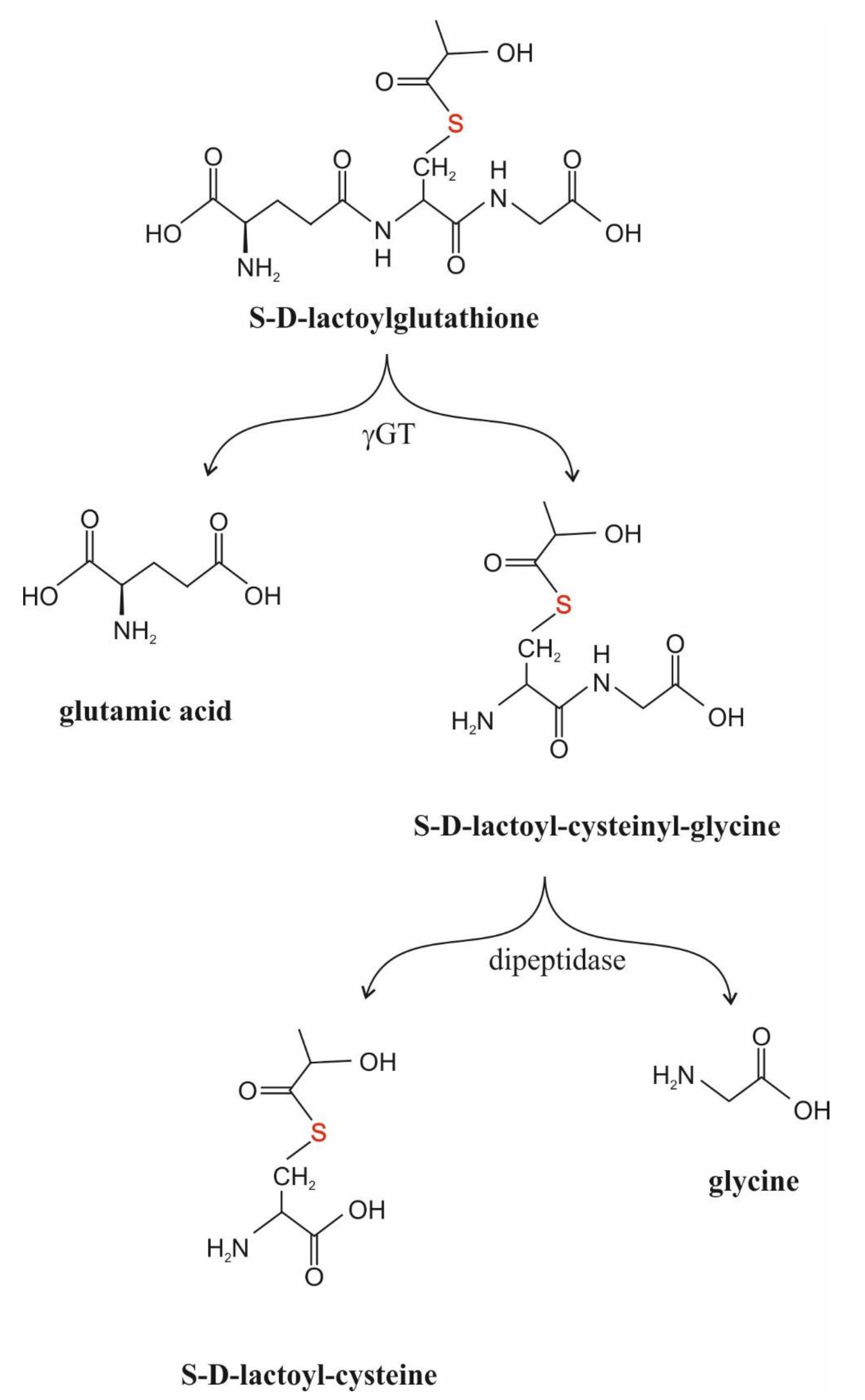 Antioxidants 11 01005 g003 Antioxidants 11 01005 g003