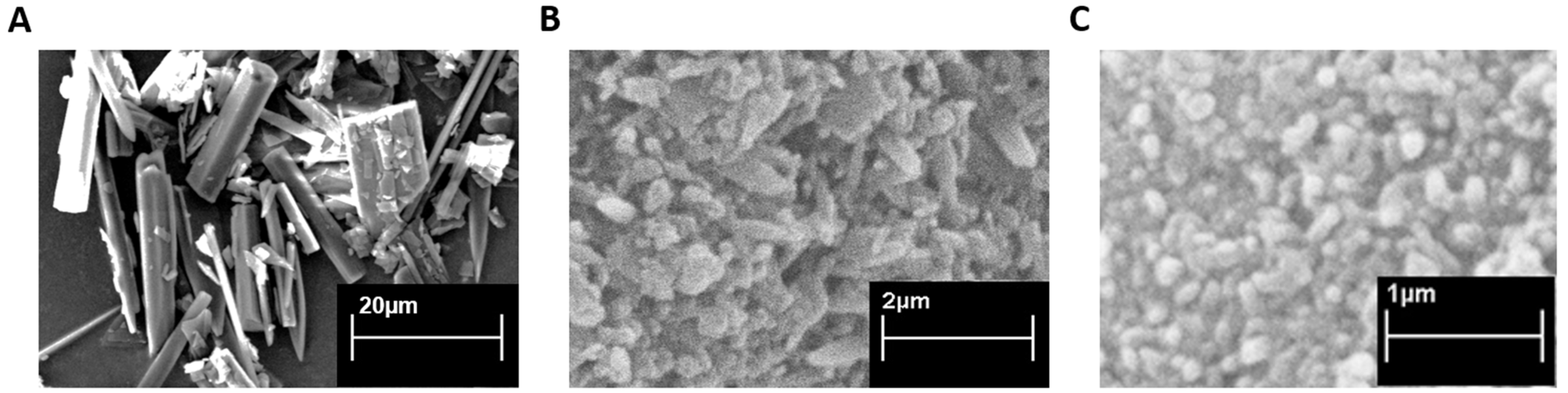 Antioxidants 11 01007 g002