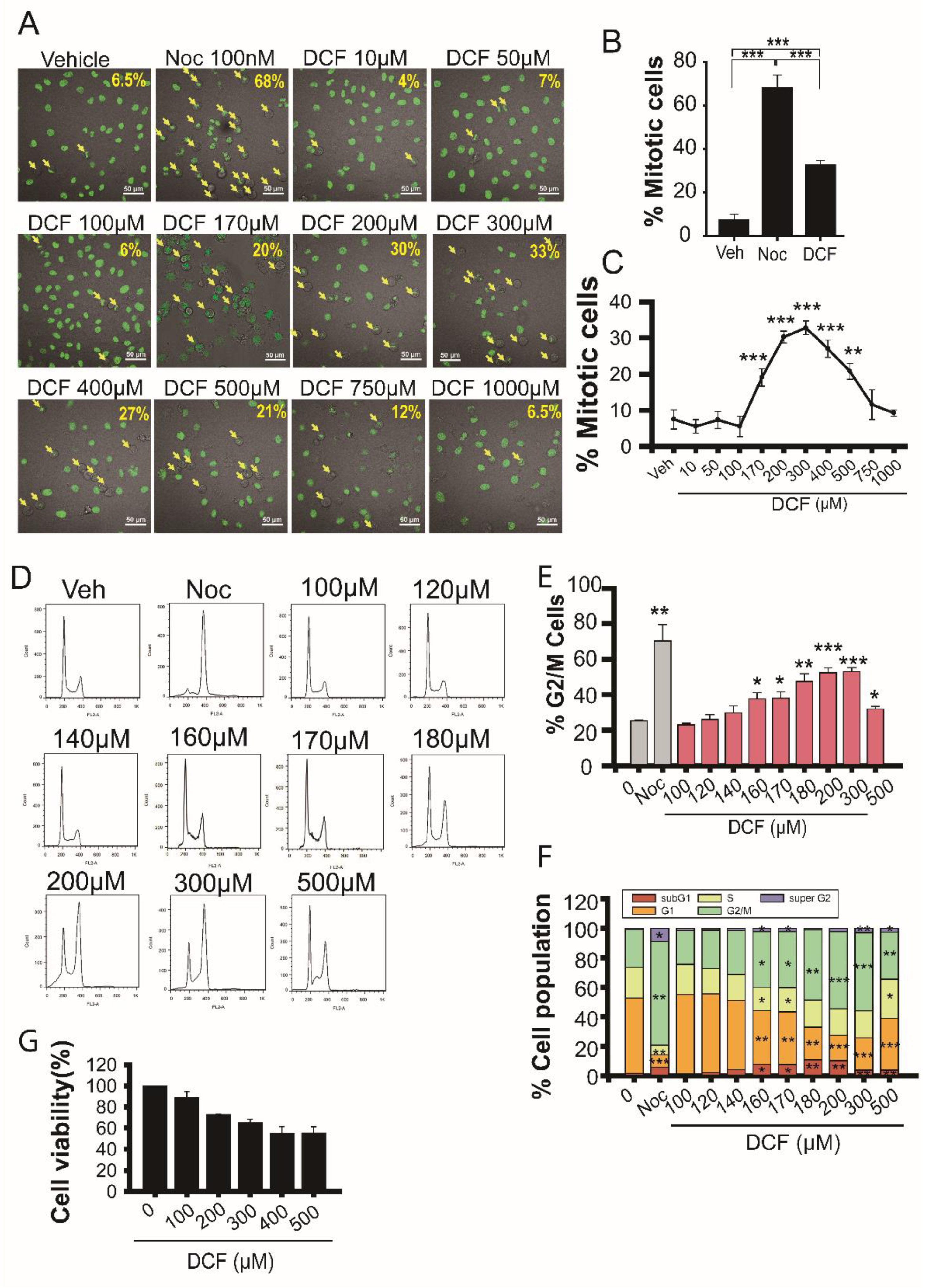Antioxidants 11 01009 g001