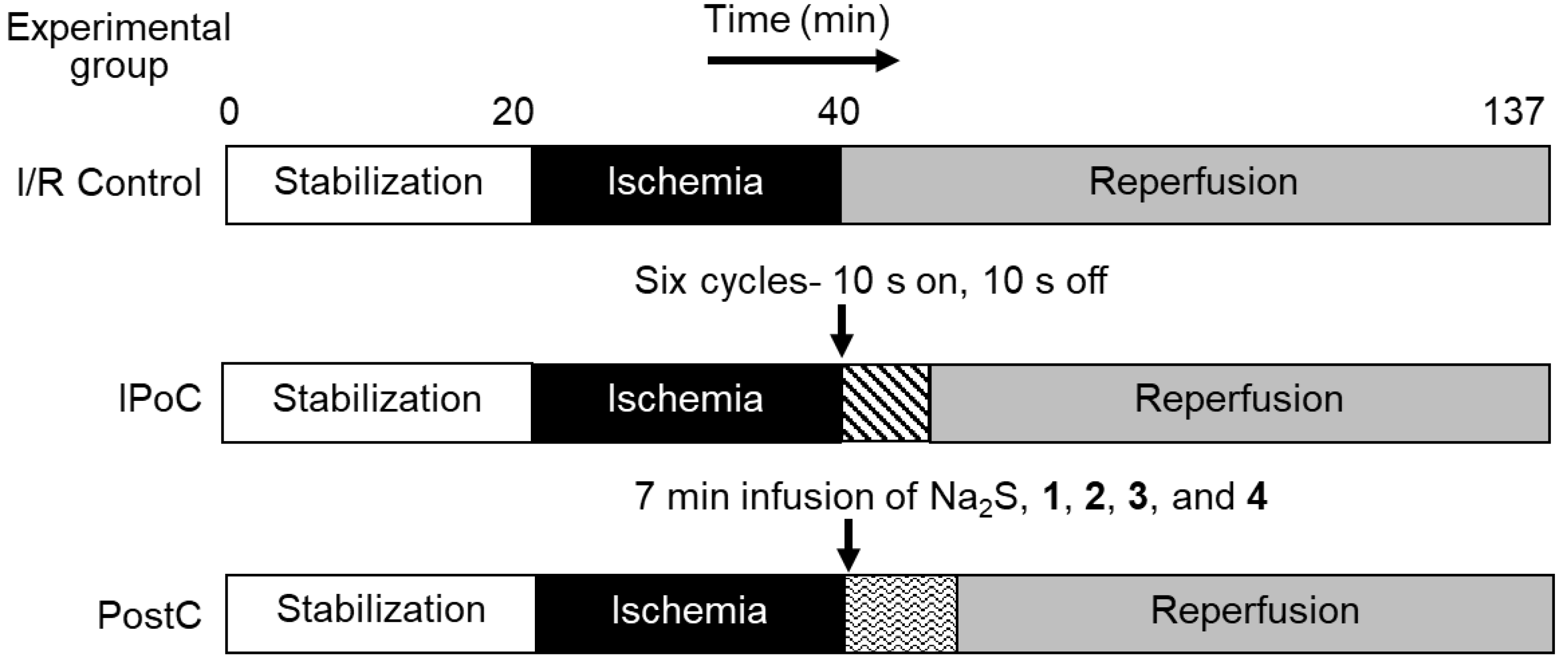 Antioxidants 11 01010 g001