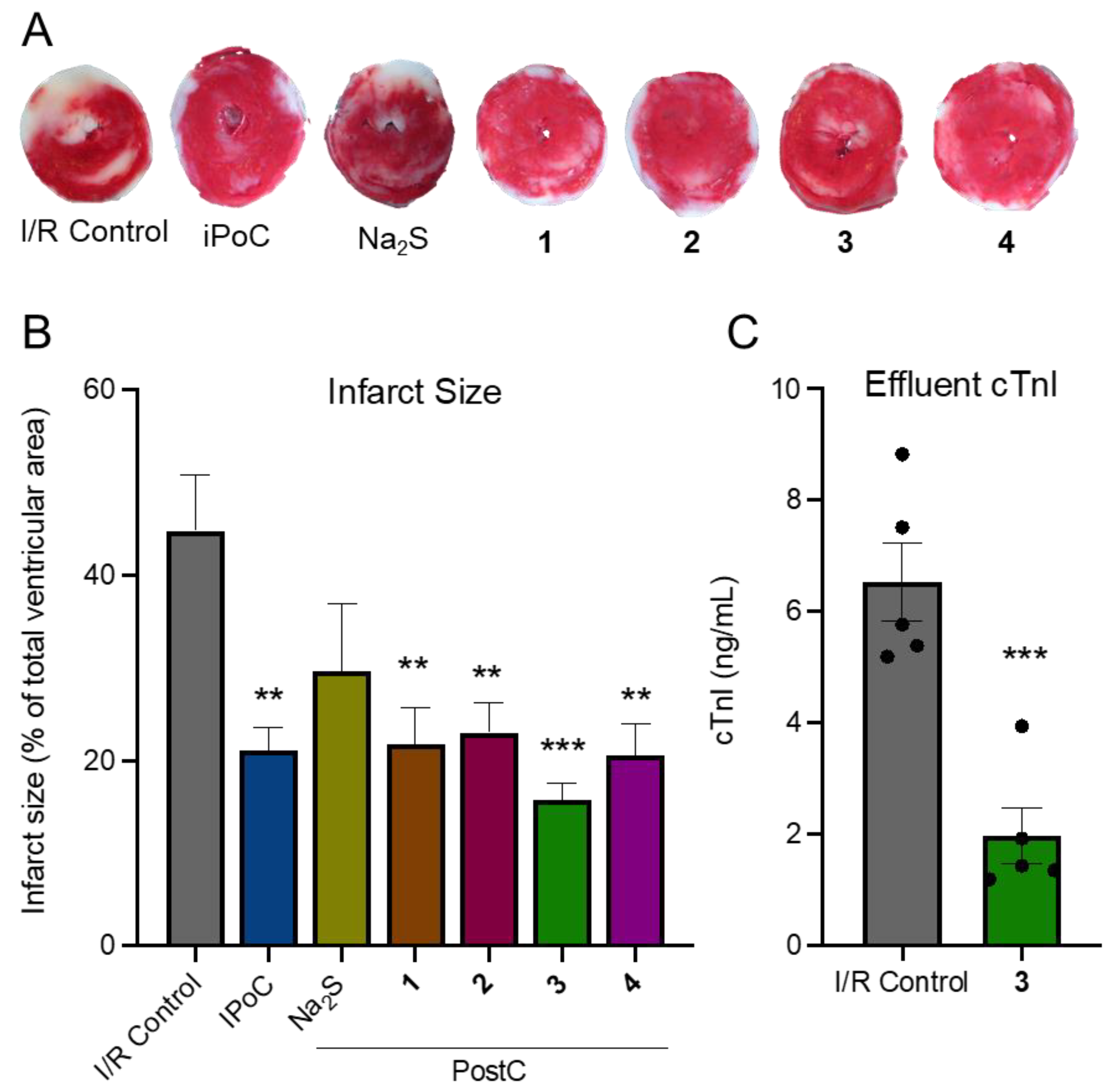 Antioxidants 11 01010 g003