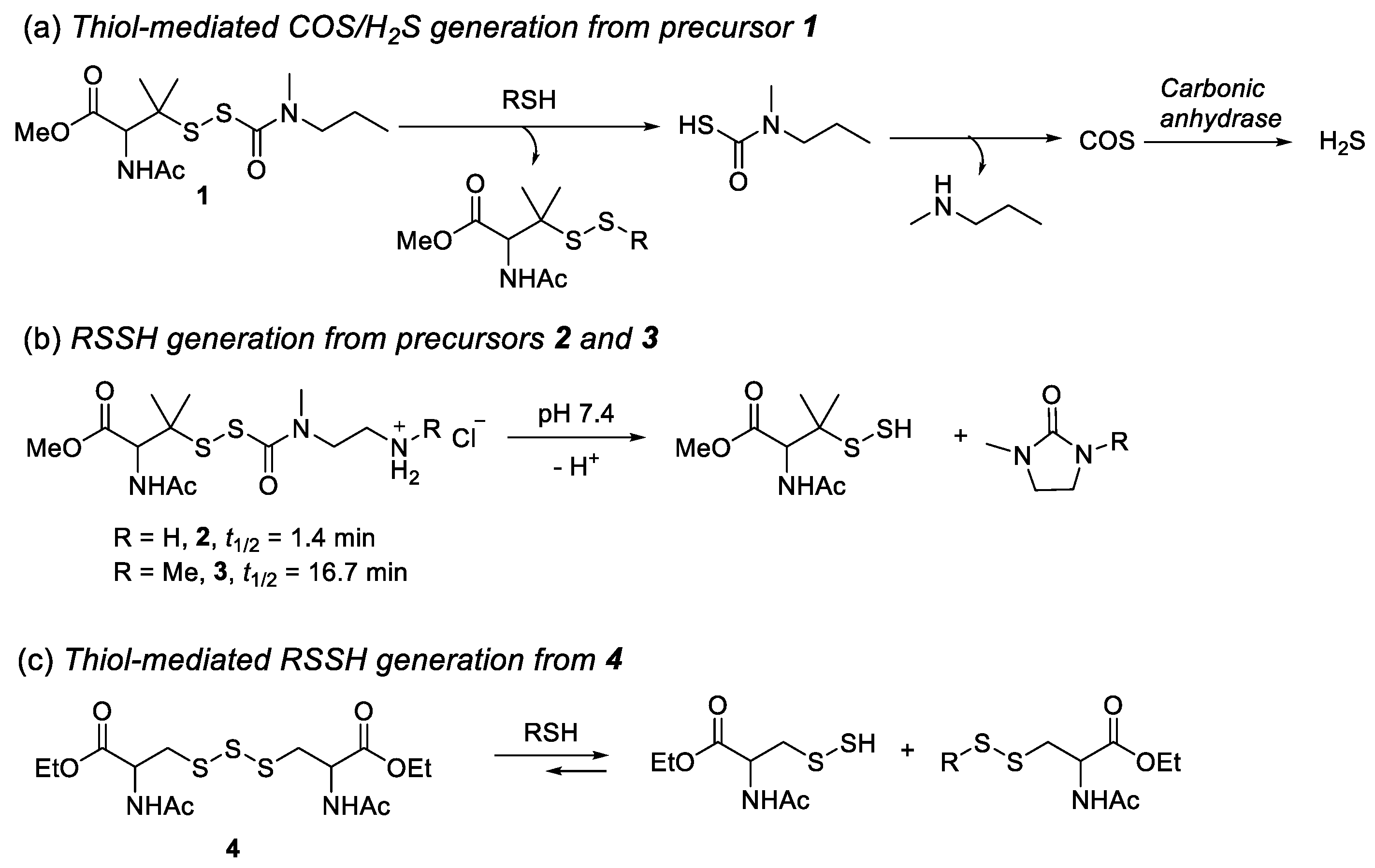 Antioxidants 11 01010 sch001