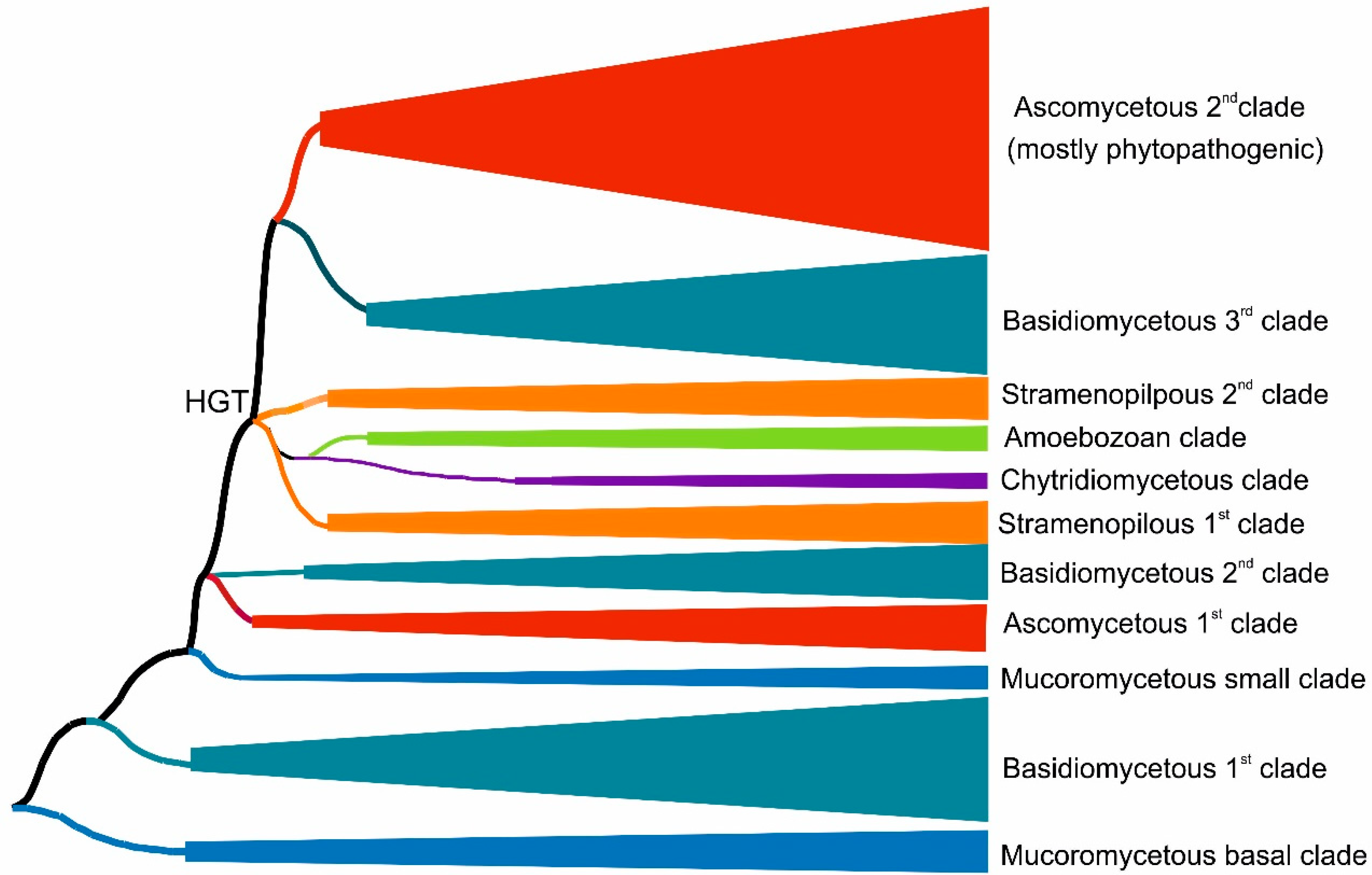 Antioxidants 11 01011 g001