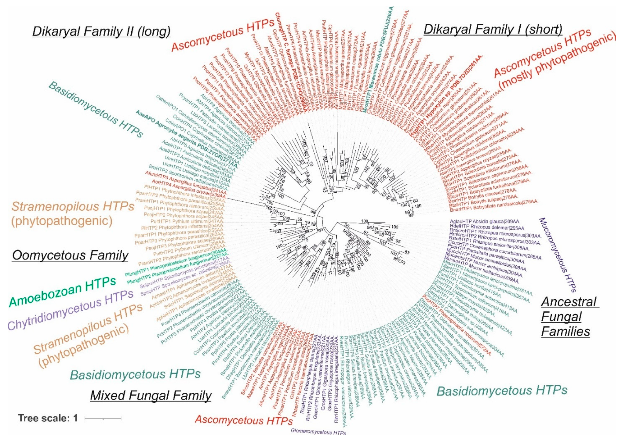 Antioxidants 11 01011 g002