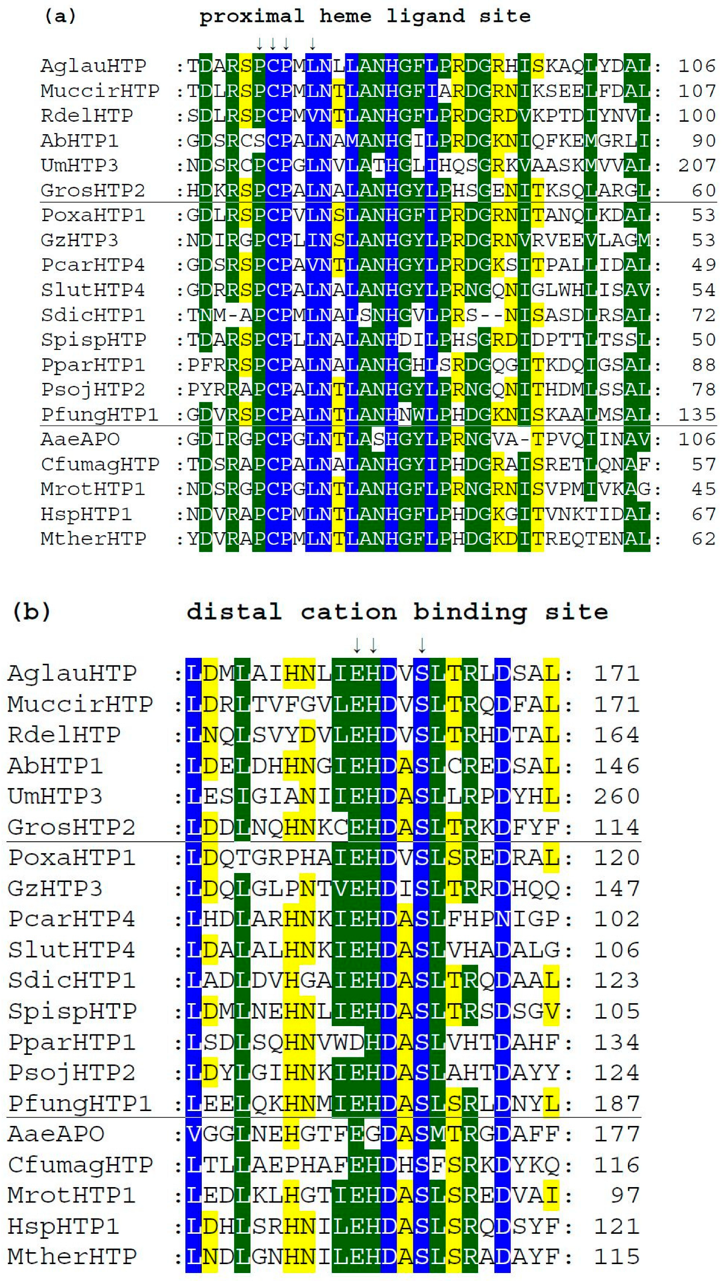 Antioxidants 11 01011 g004a