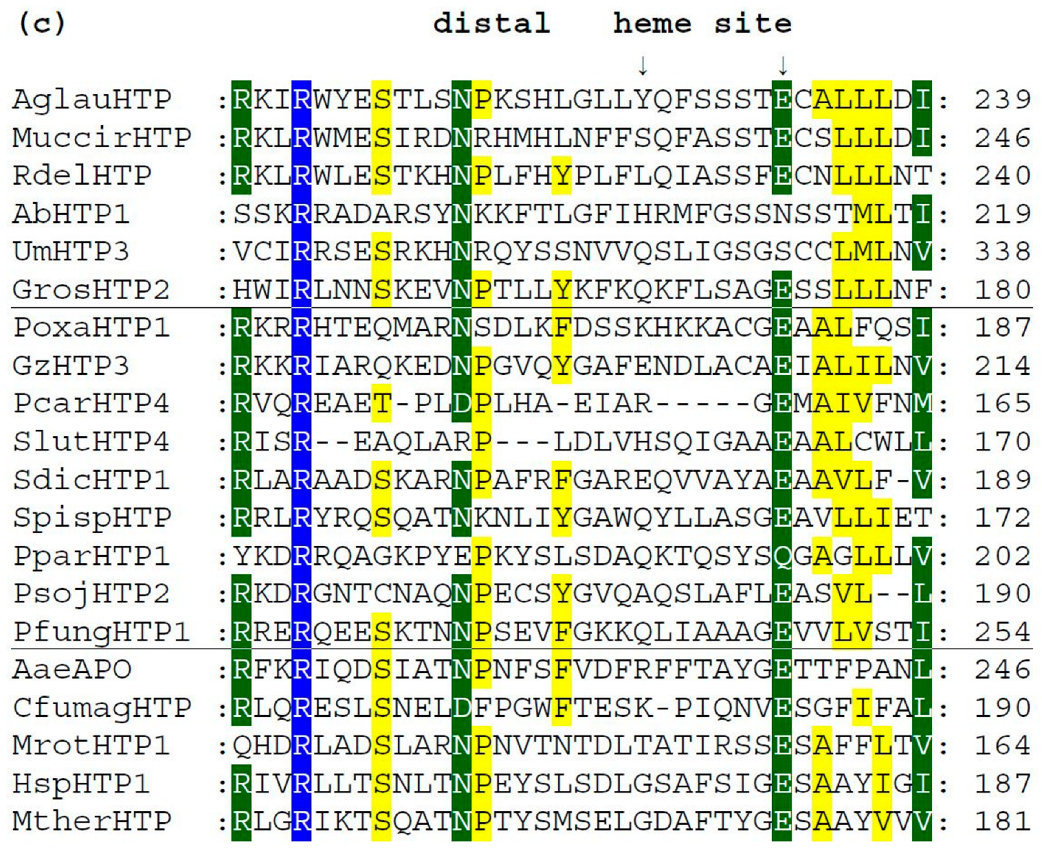 Antioxidants 11 01011 g004b