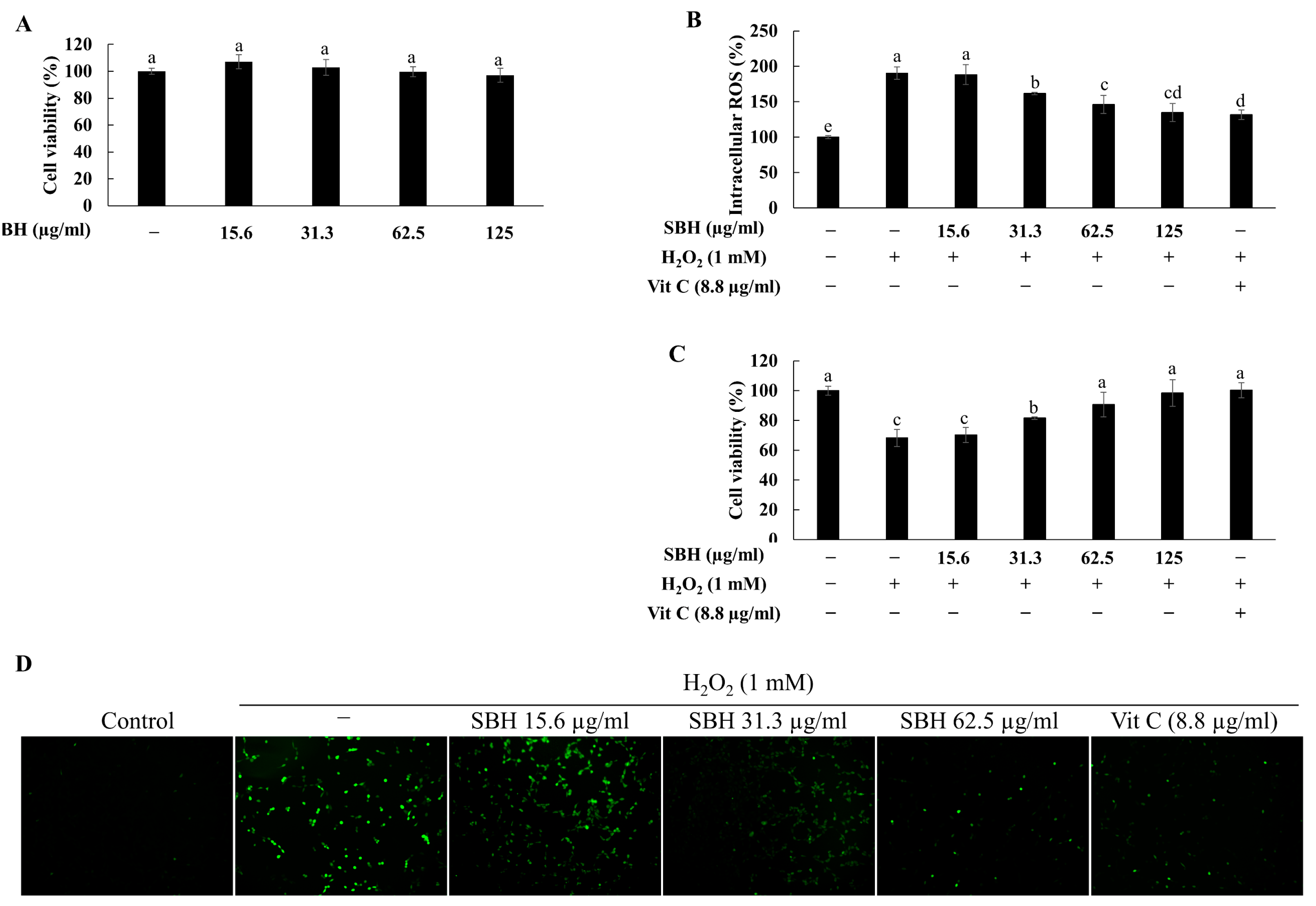 Antioxidants 11 01013 g003
