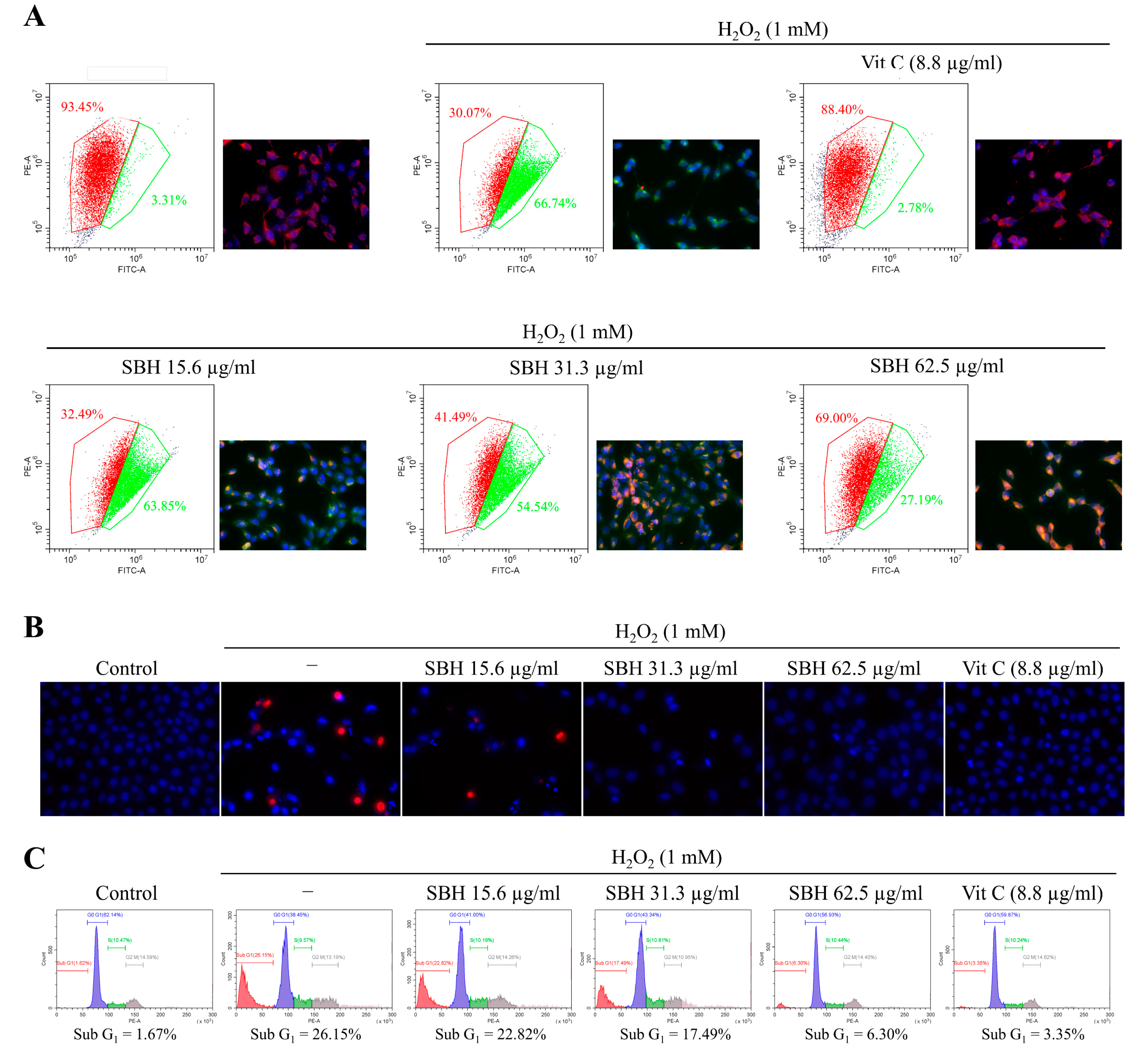 Antioxidants 11 01013 g004
