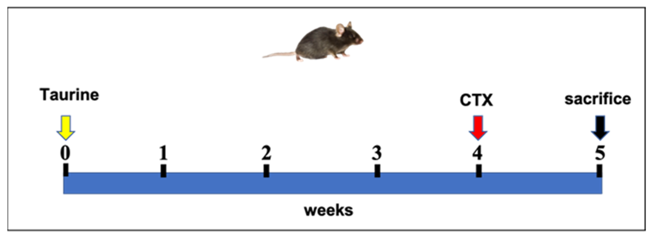 Antioxidants 11 01016 sch001