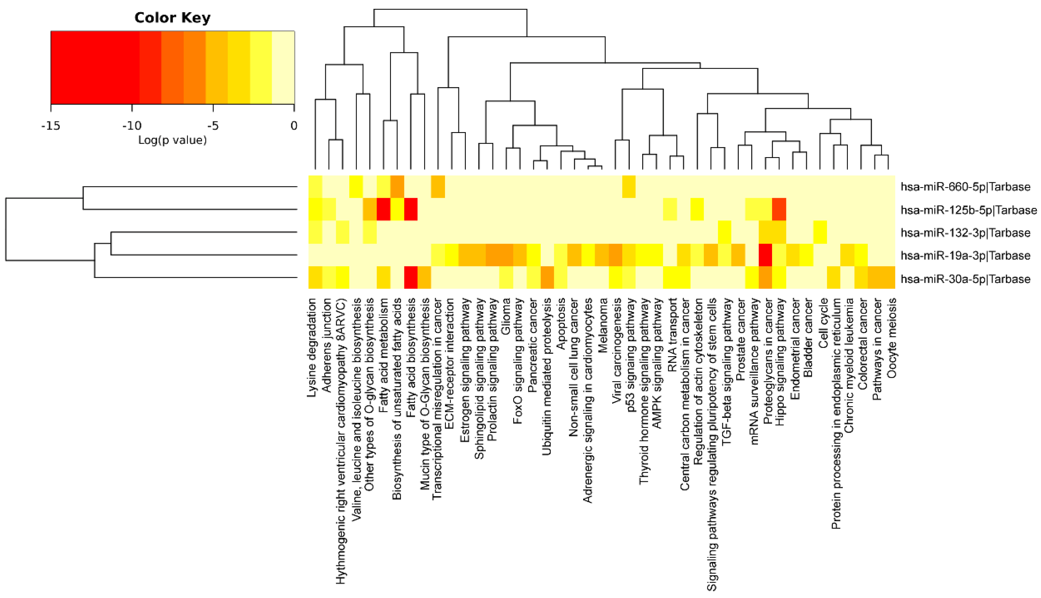Antioxidants 11 01019 g003