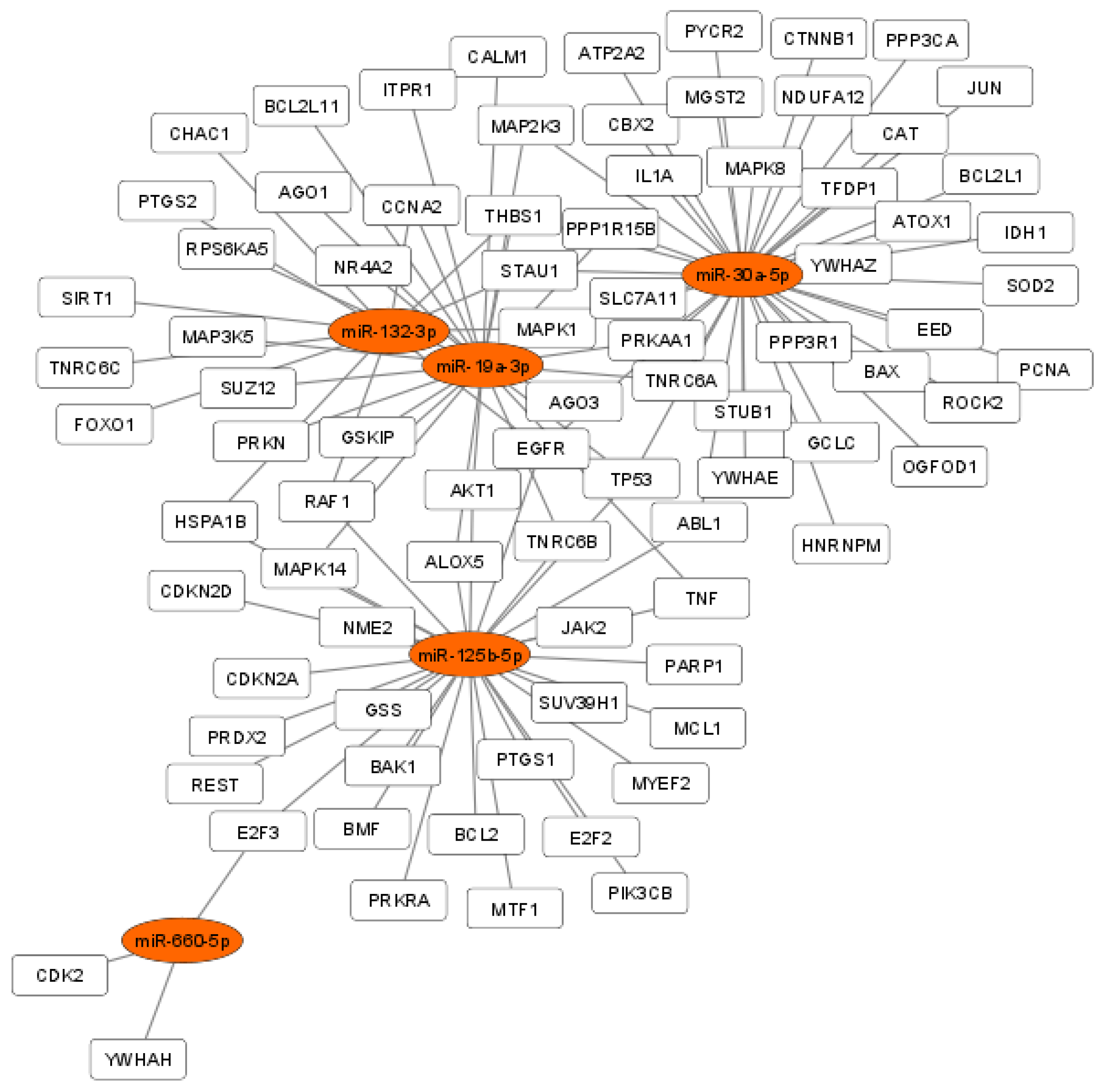 Antioxidants 11 01019 g004