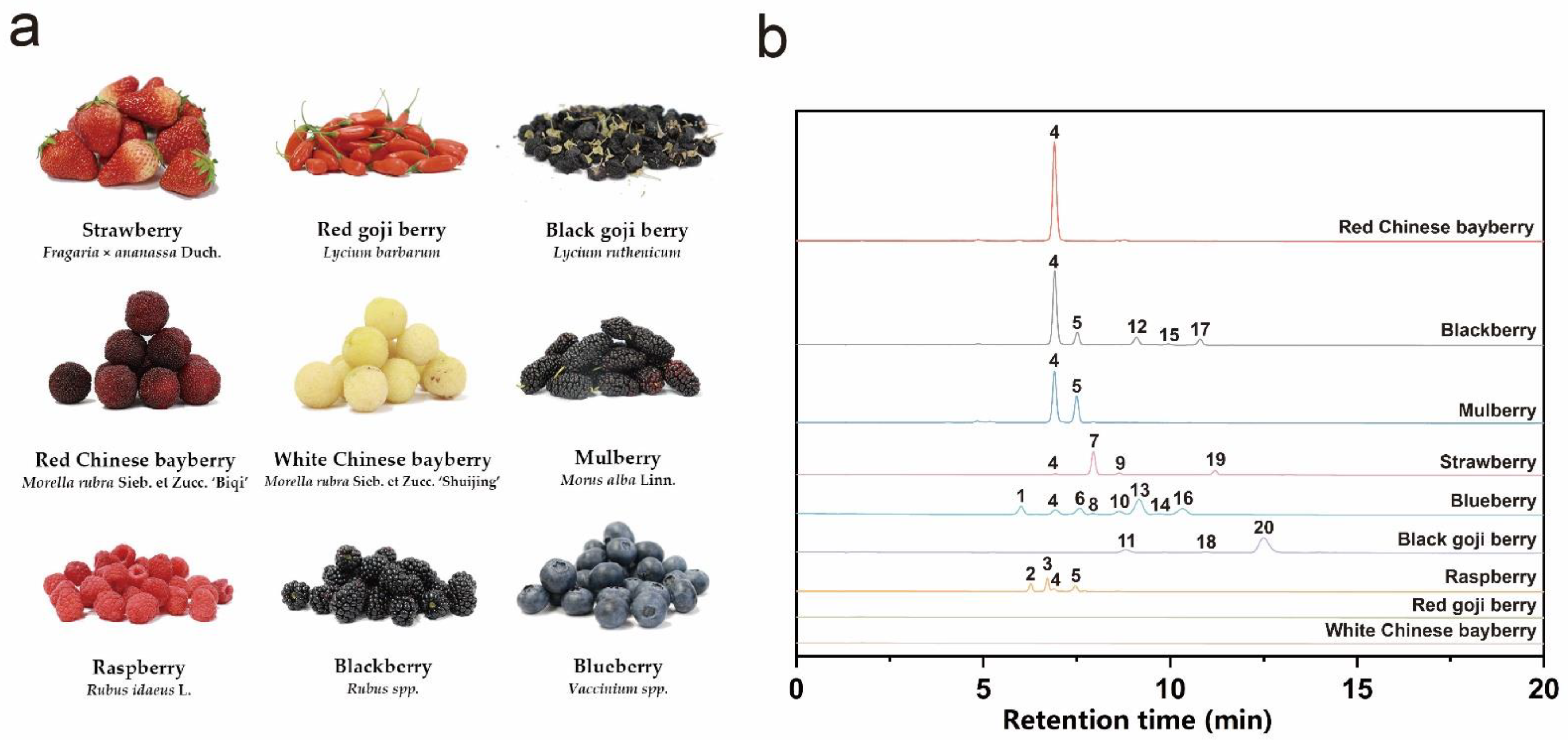 Antioxidants 11 01020 g001