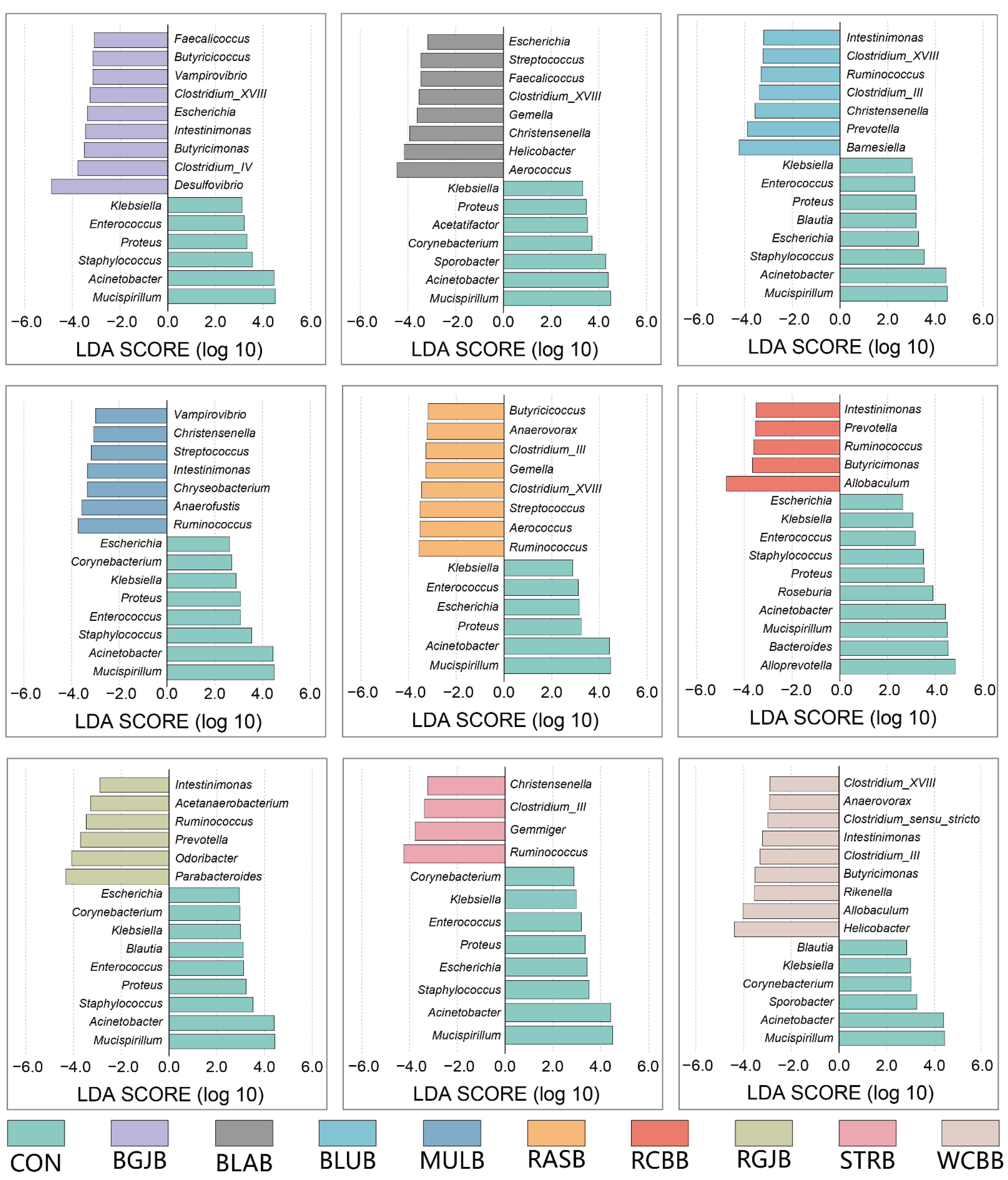 Antioxidants 11 01020 g005