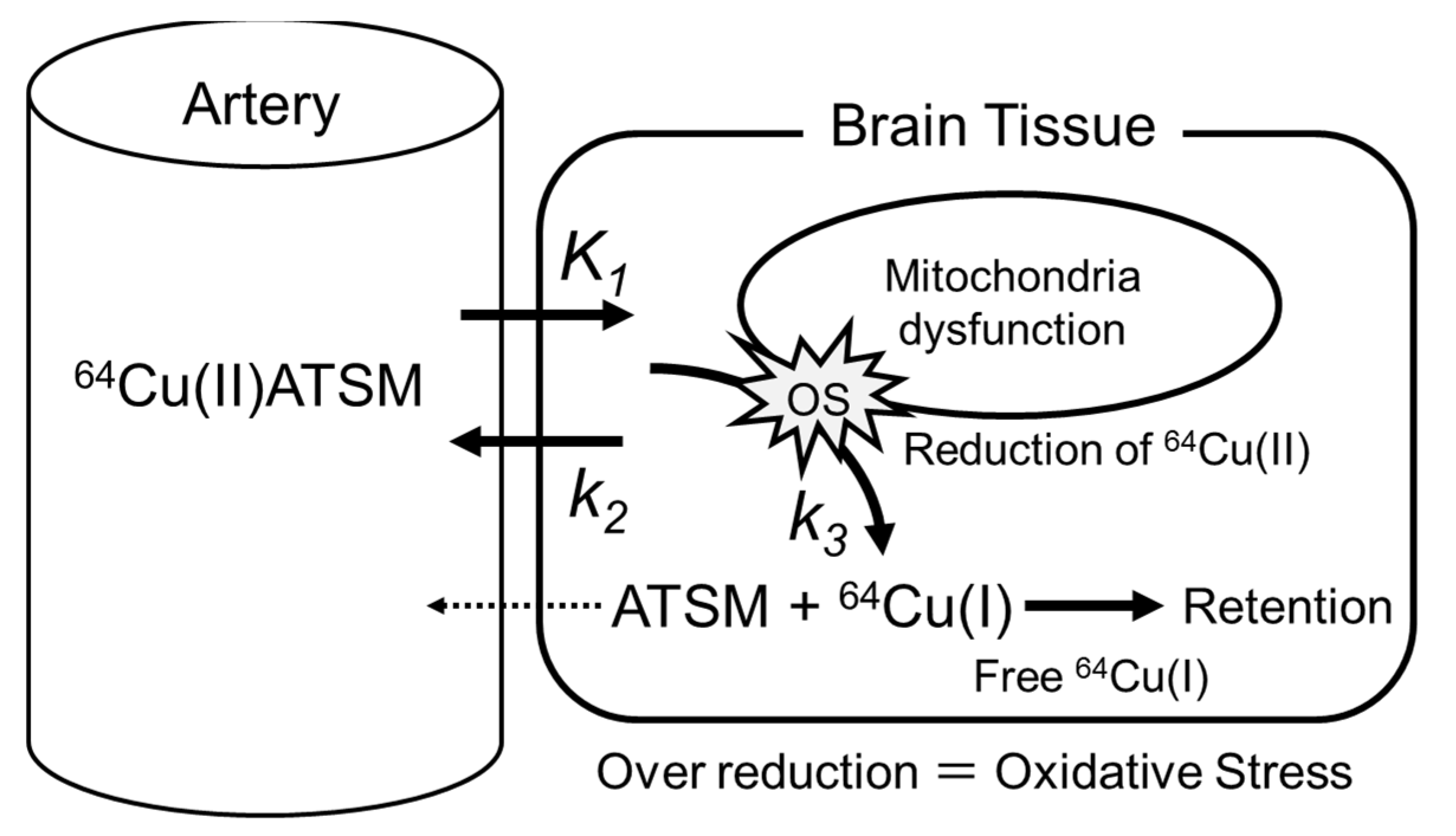 Antioxidants 11 01022 g001