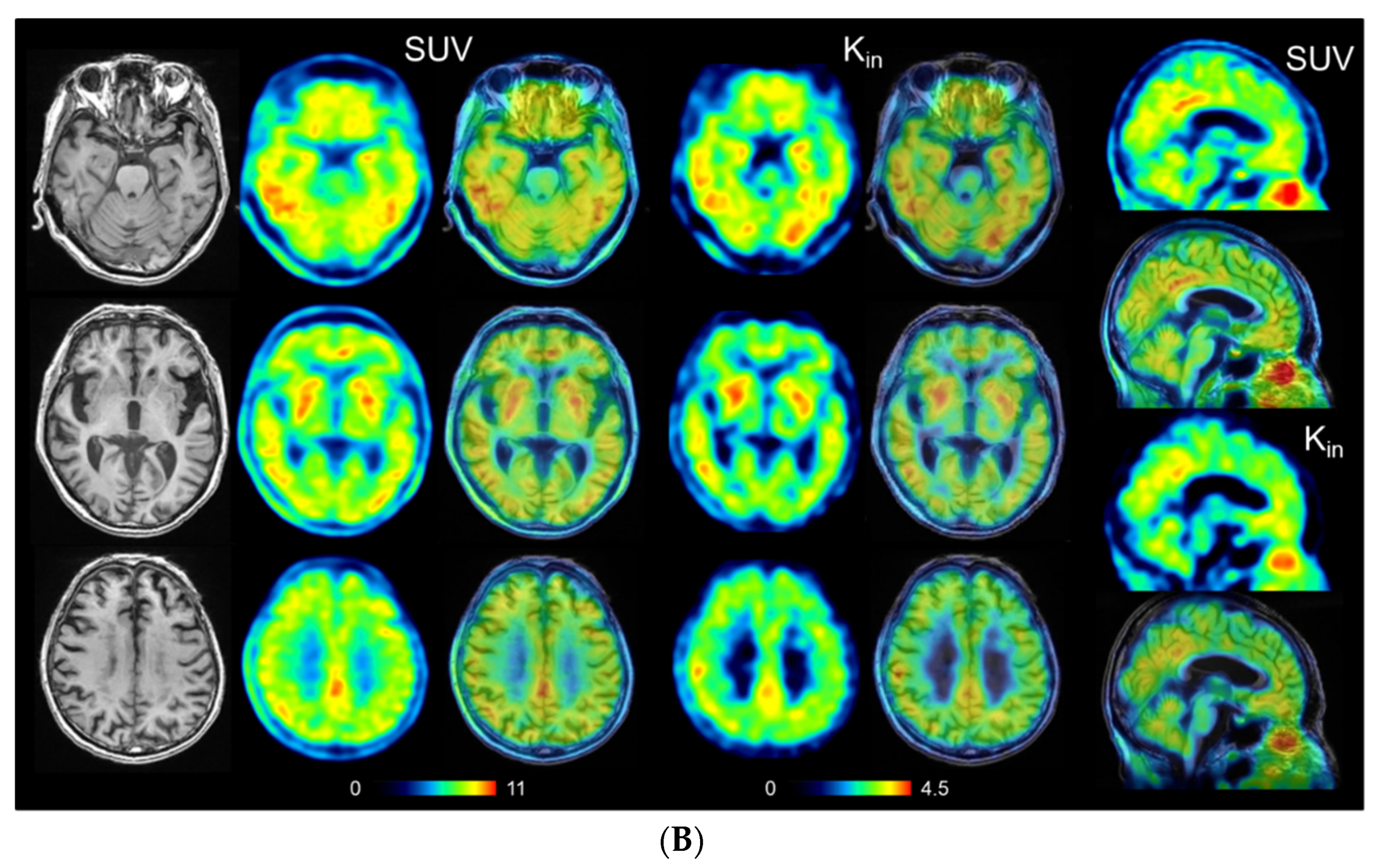 Antioxidants 11 01022 g003b