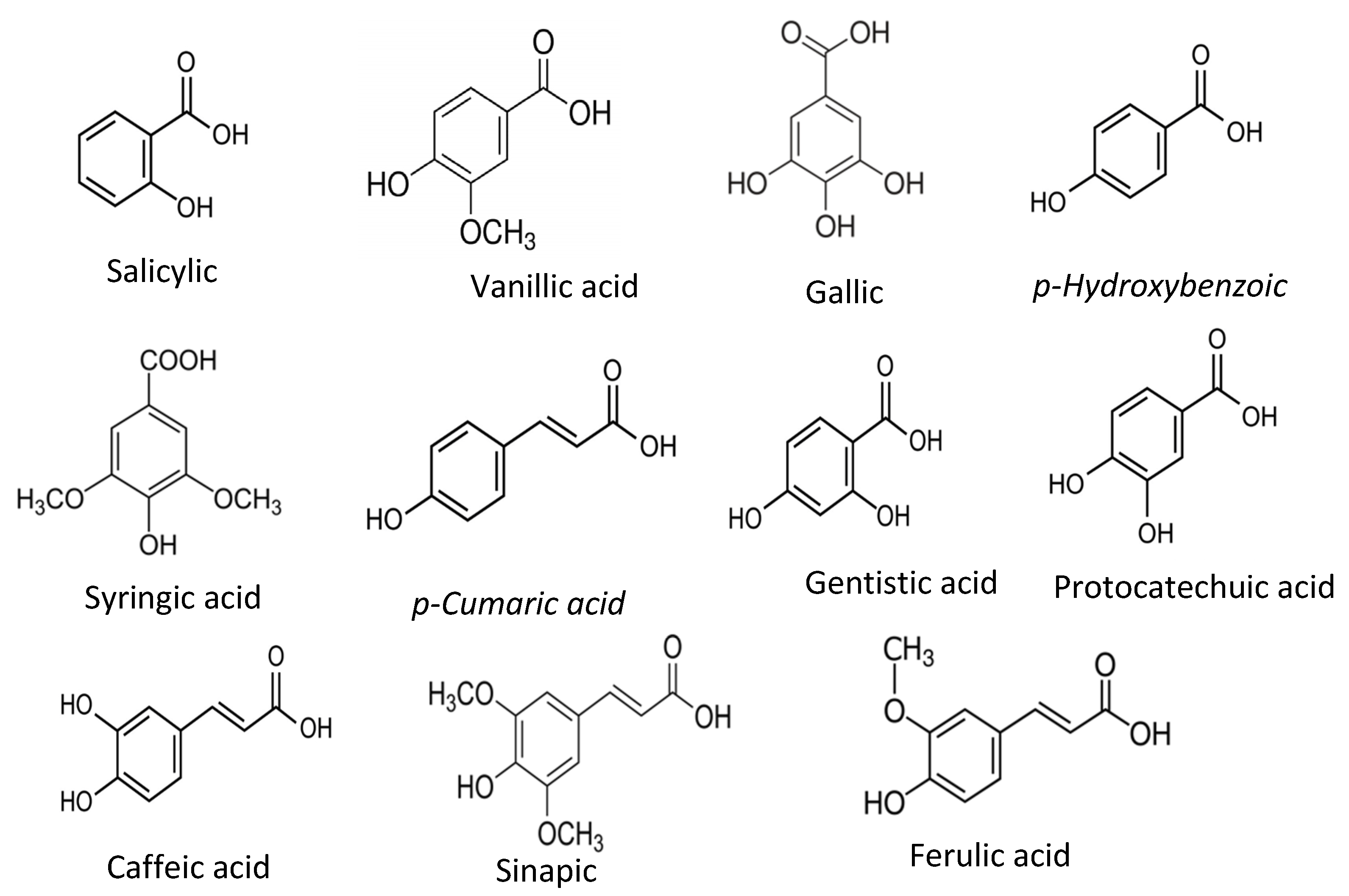 Antioxidants 11 01025 g002
