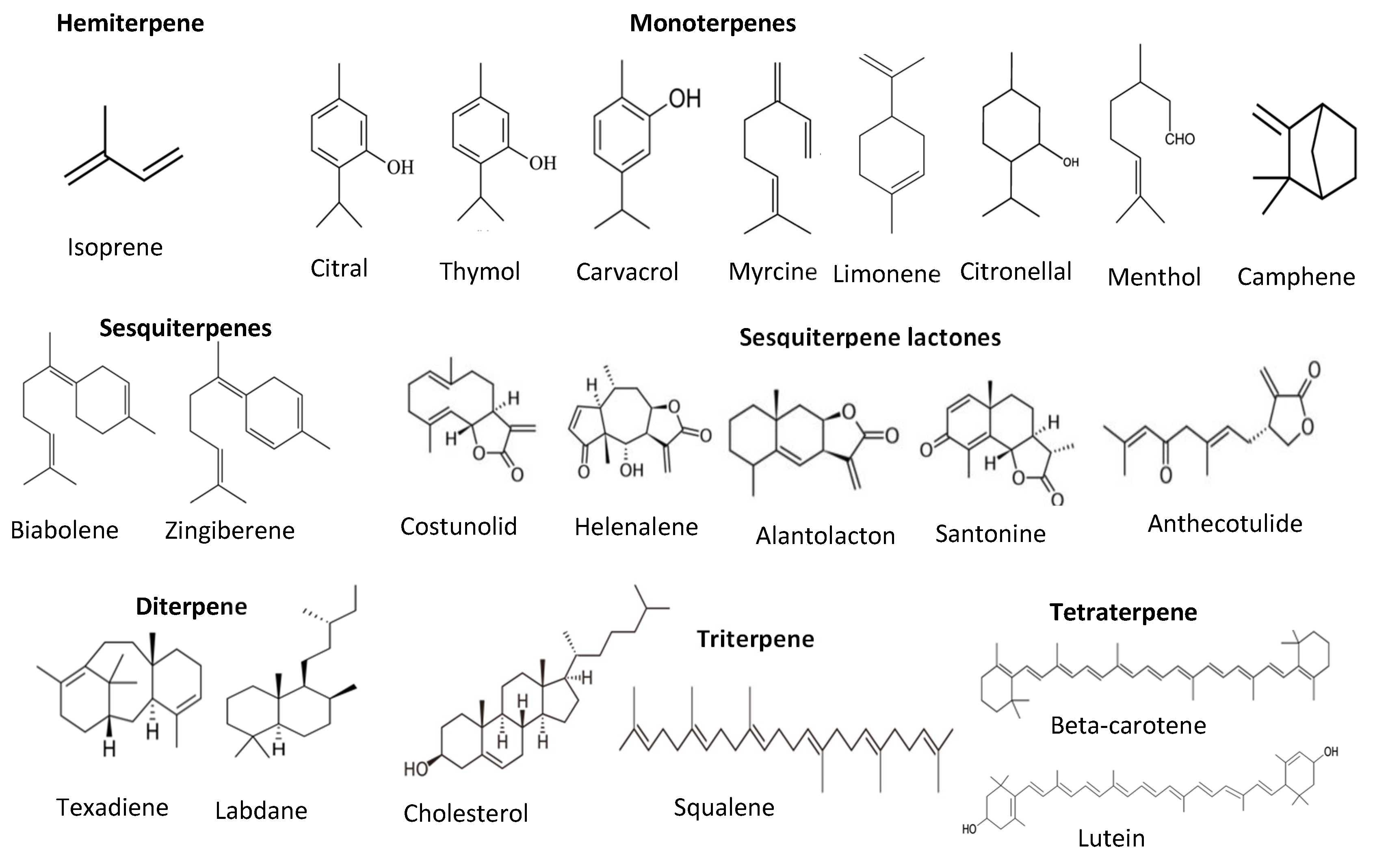 Antioxidants 11 01025 g006