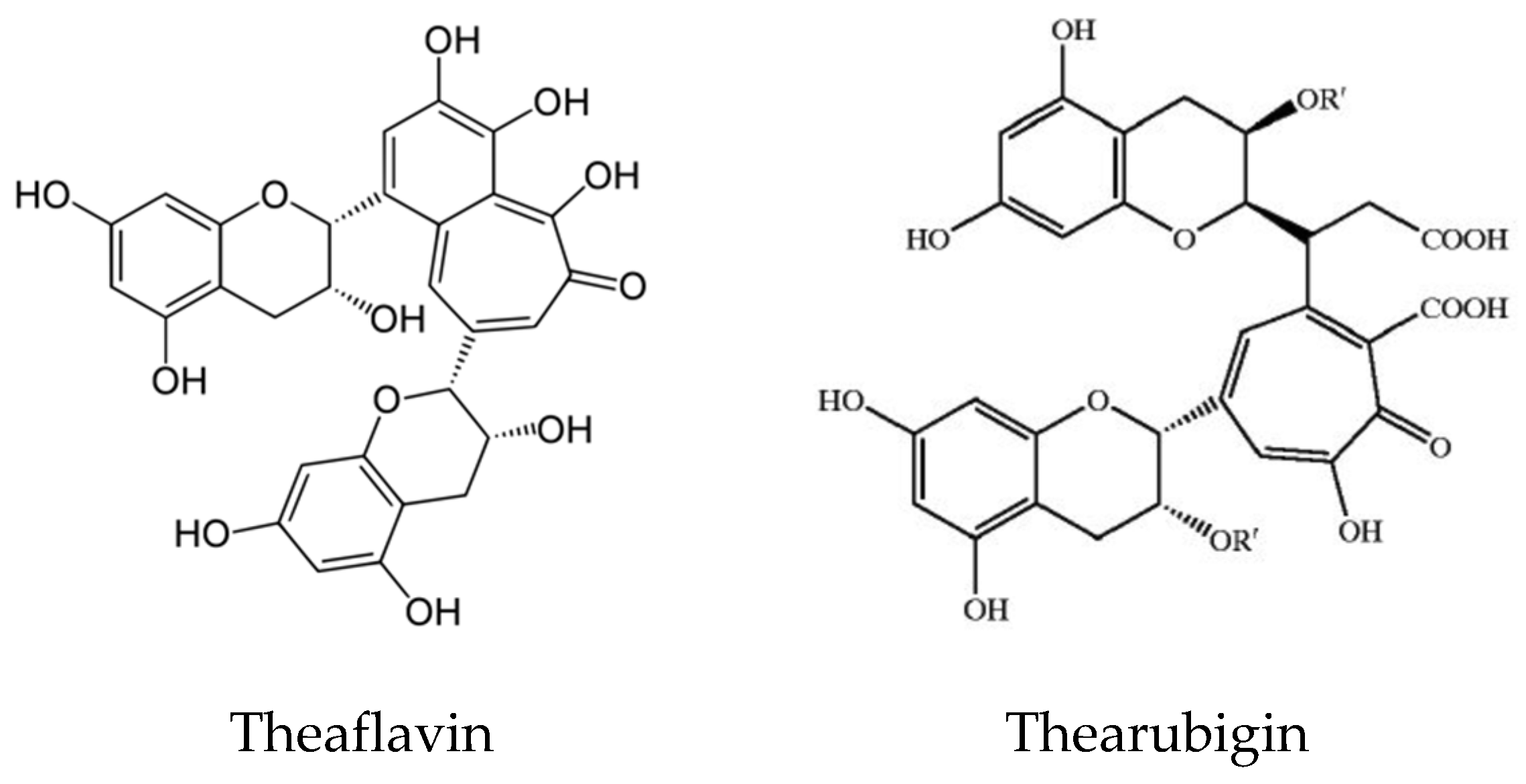Antioxidants 11 01025 g008