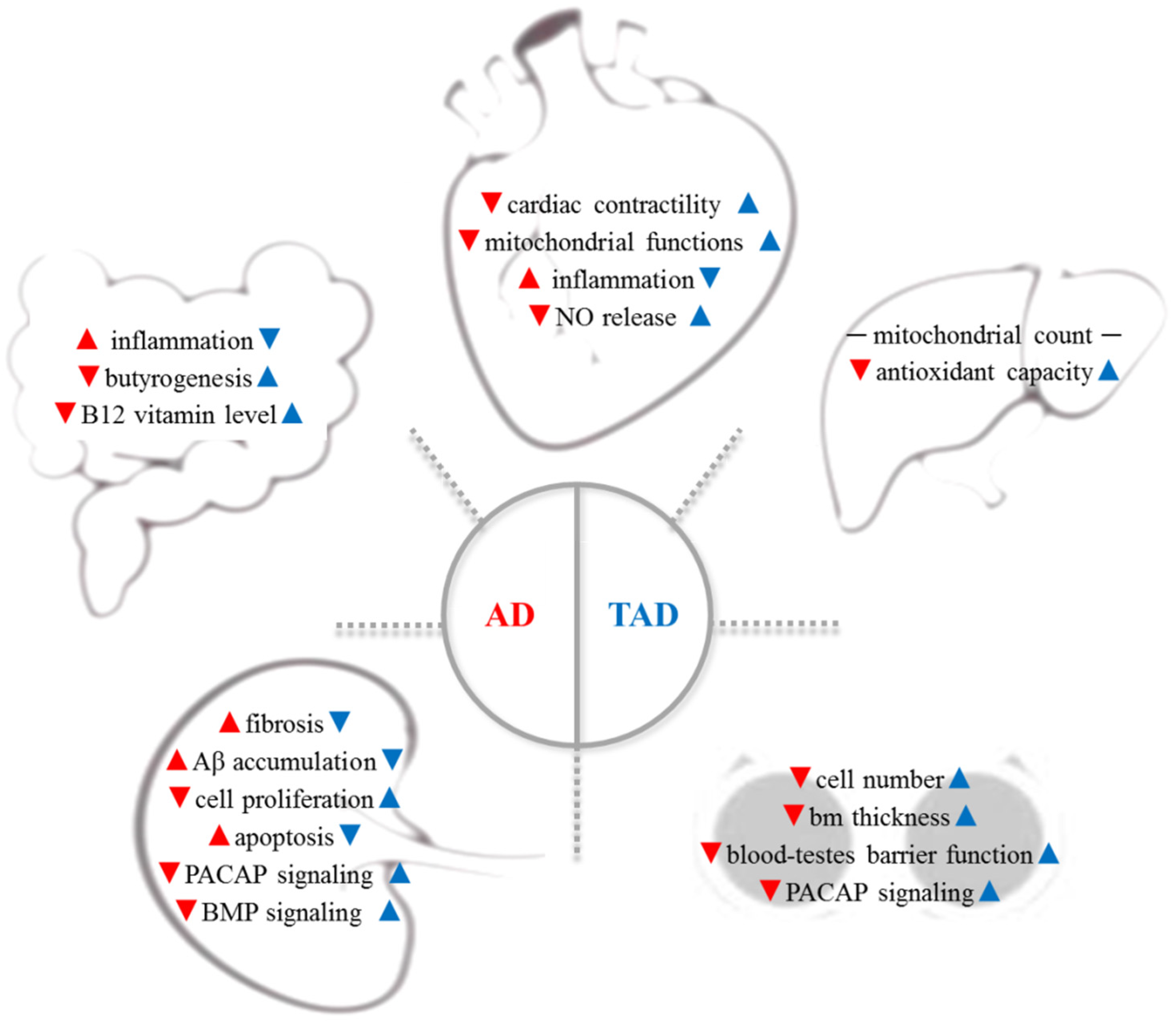 Antioxidants 11 01028 g001 Antioxidants 11 01028 g001