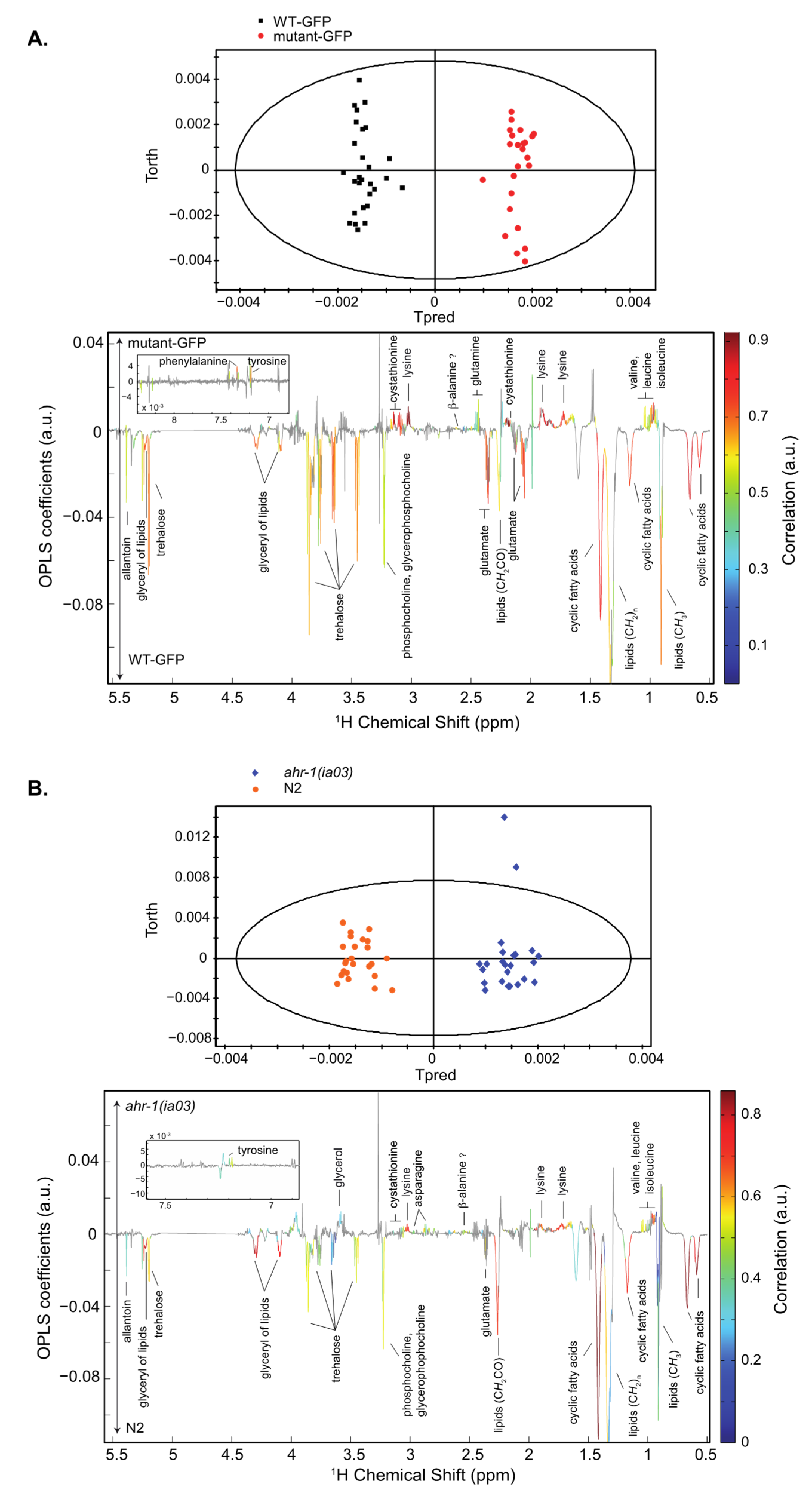 Antioxidants 11 01030 g001
