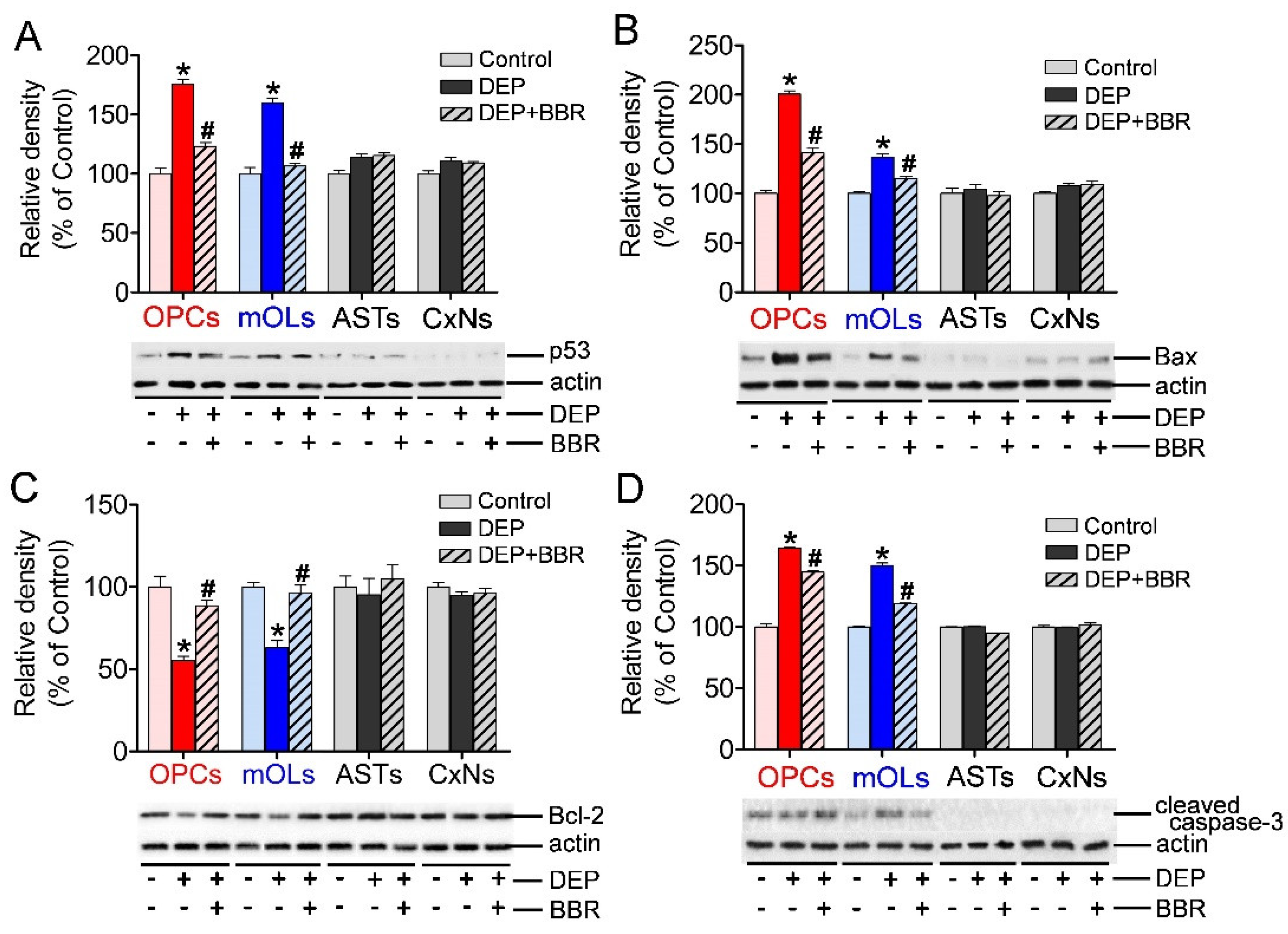Antioxidants 11 01031 g005