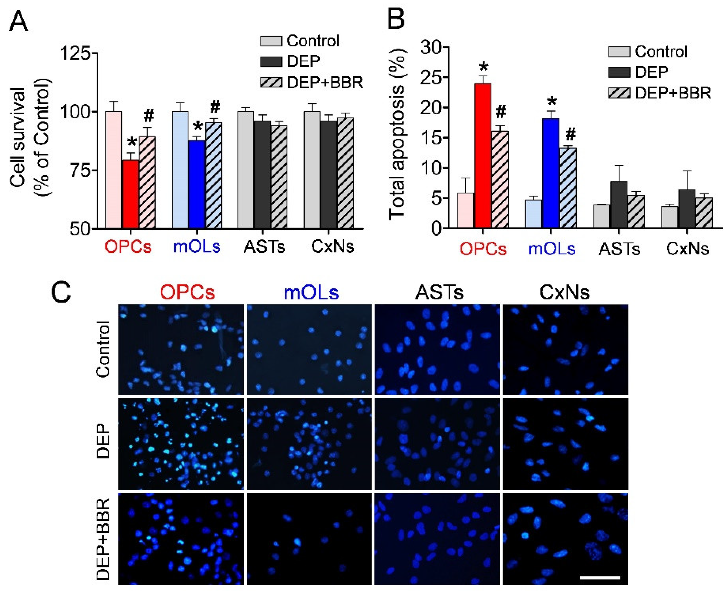 Antioxidants 11 01031 g006