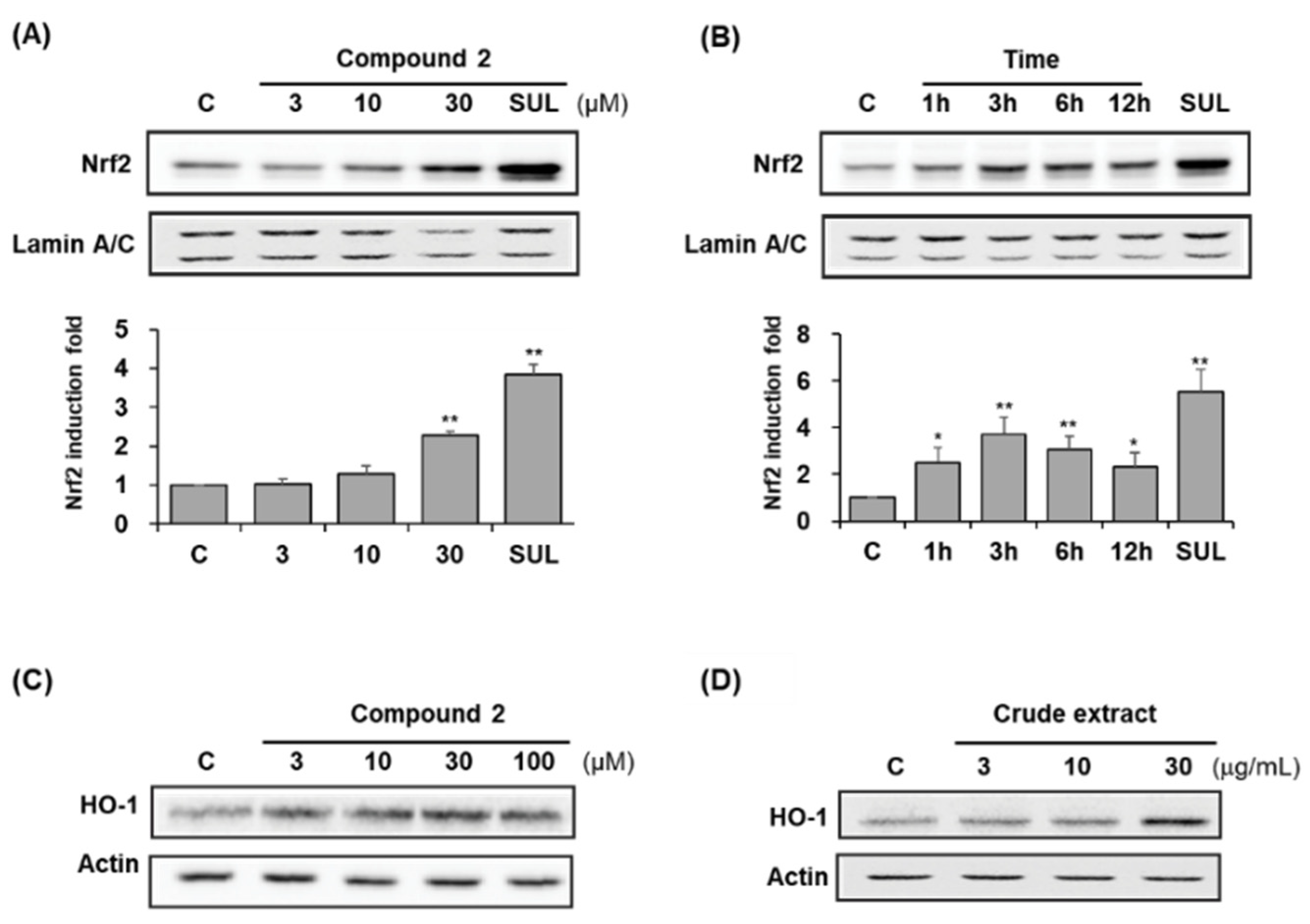Antioxidants 11 01032 g007