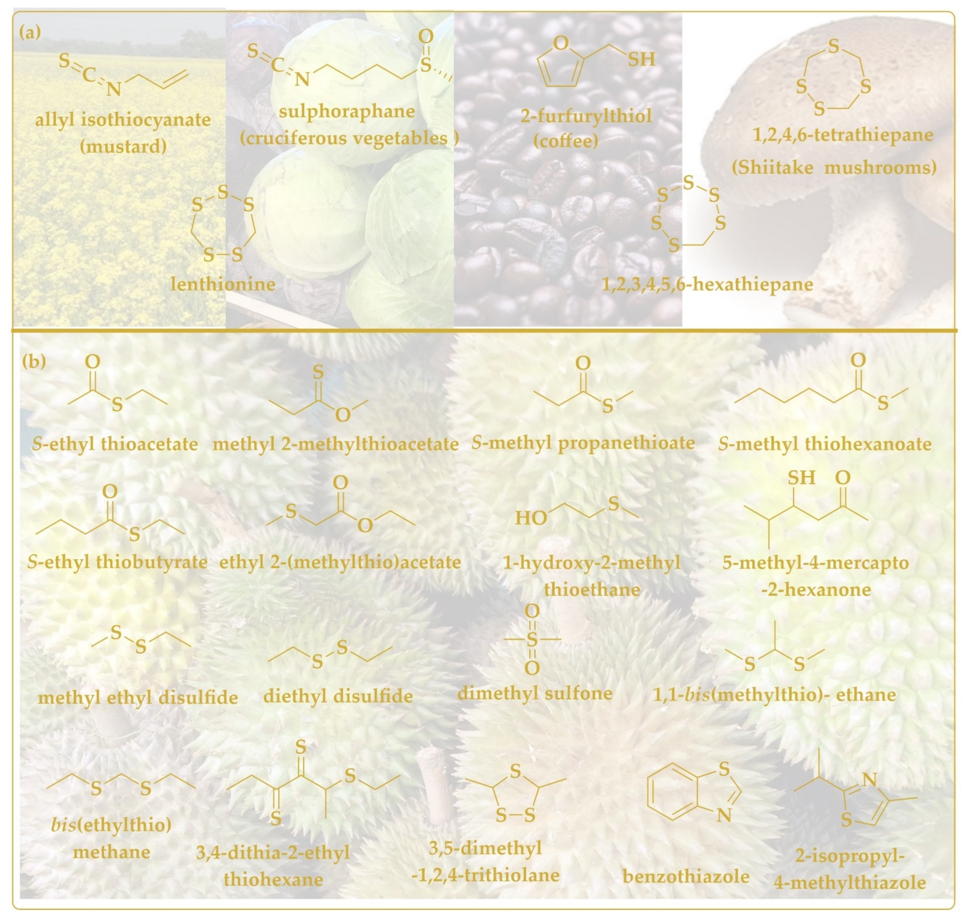 Antioxidants 11 01036 g005 Antioxidants 11 01036 g005