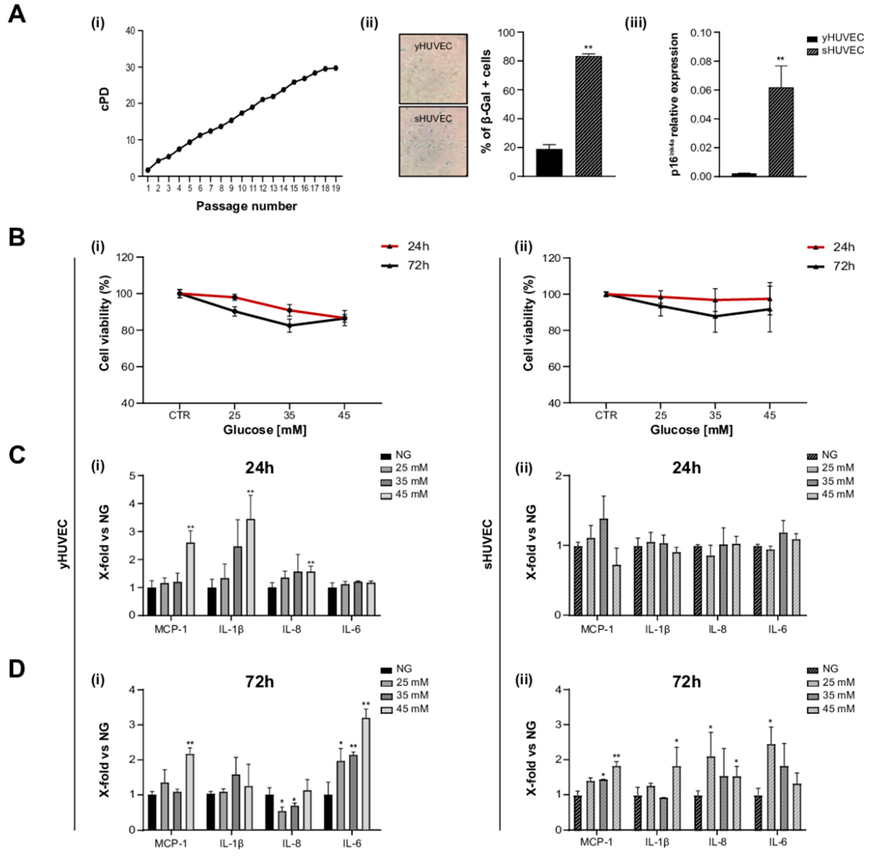 Antioxidants 11 01037 g001