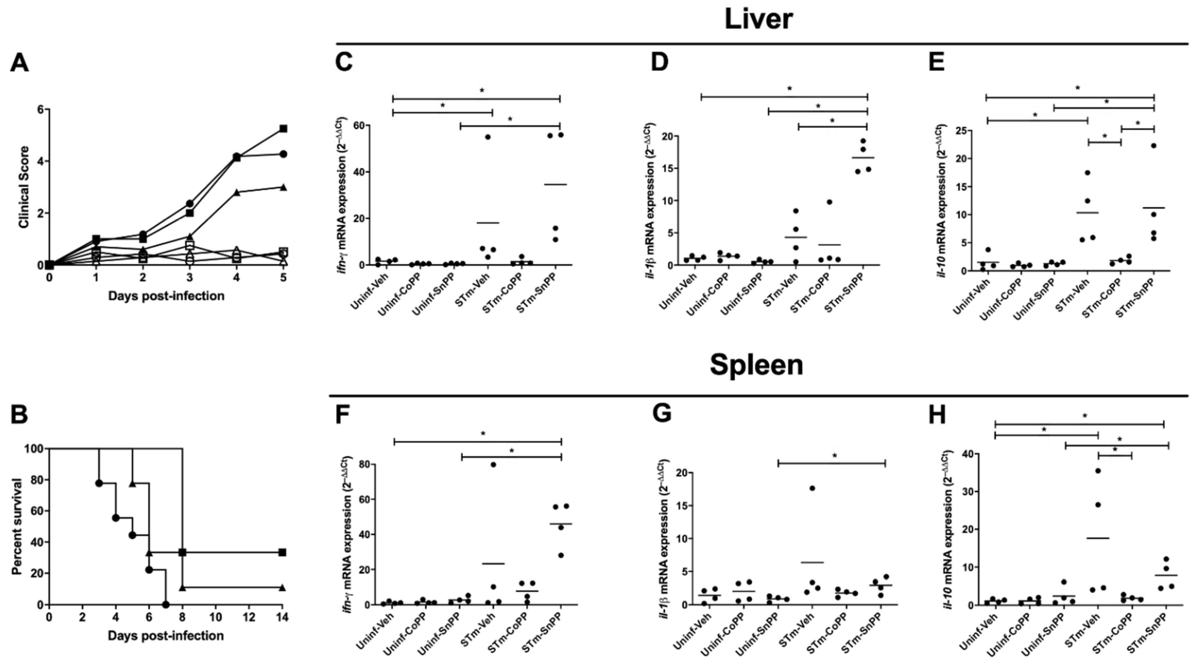 Antioxidants 11 01040 g001